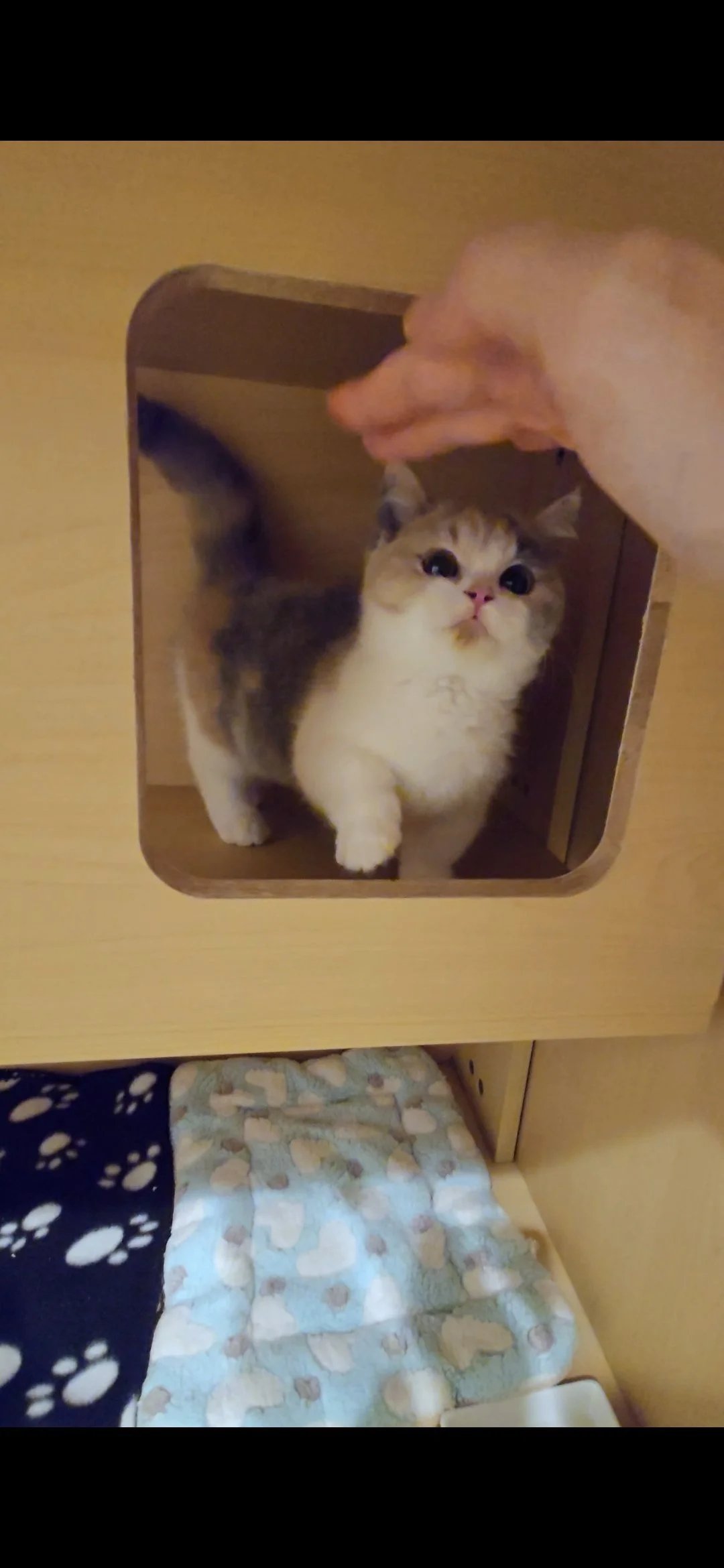 Screenshot_20251212_175243_Gallery.jpg