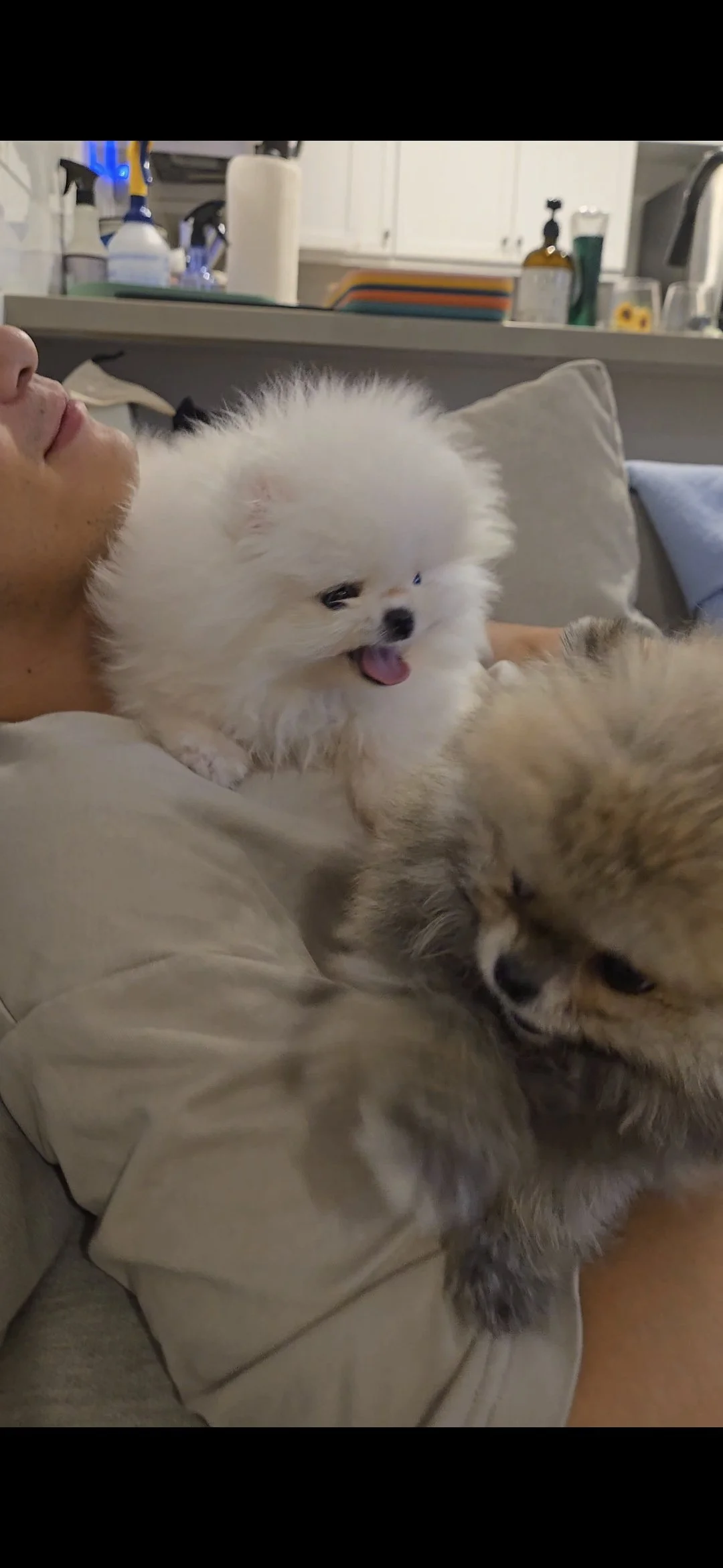 Copy of Screenshot_20260128_013442_Gallery.jpg