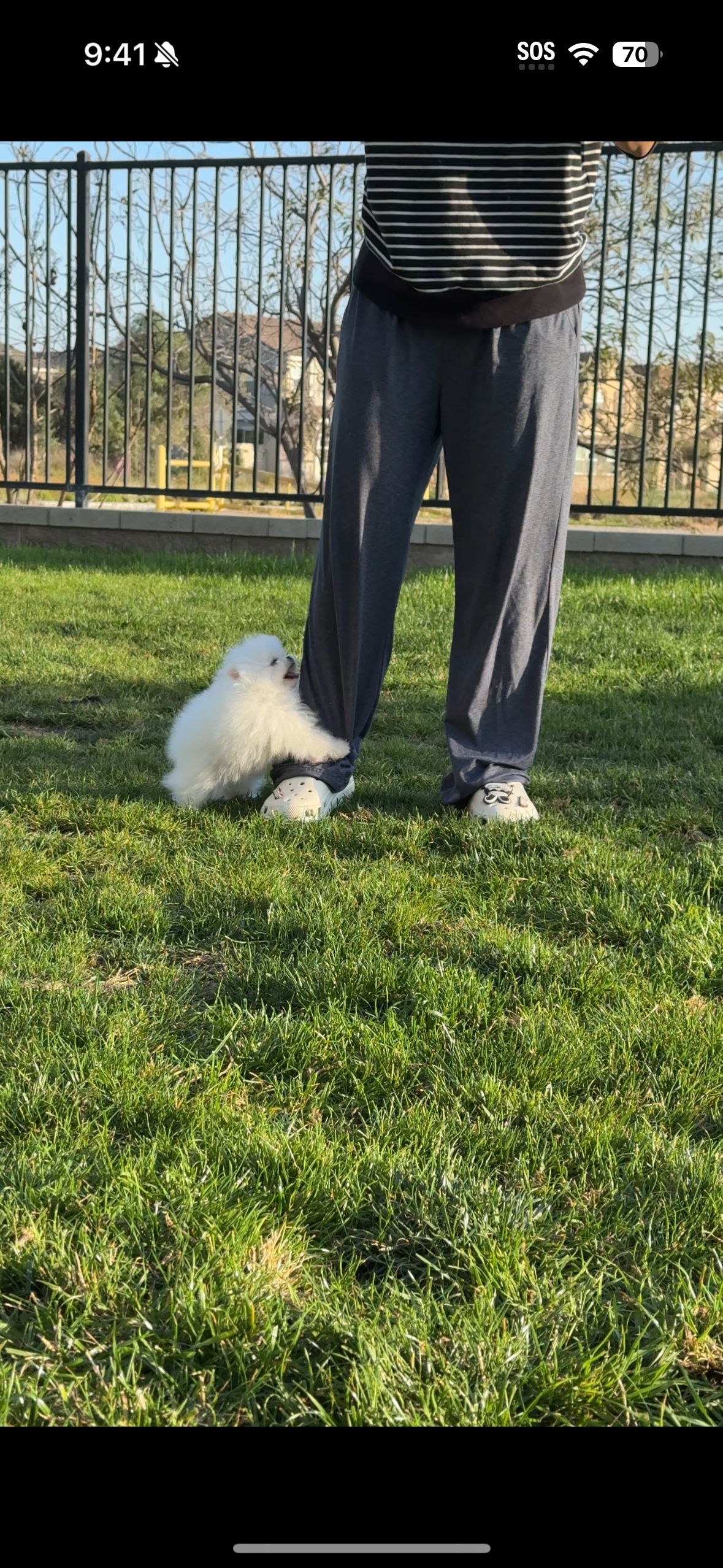 Copy of IMG_3918.PNG