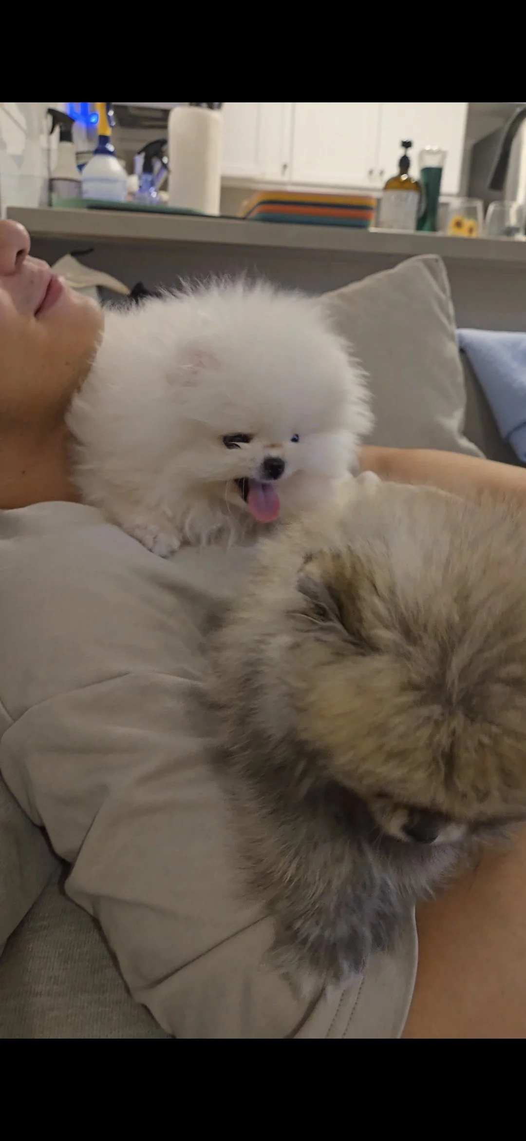 Copy of Screenshot_20260128_013445_Gallery.jpg