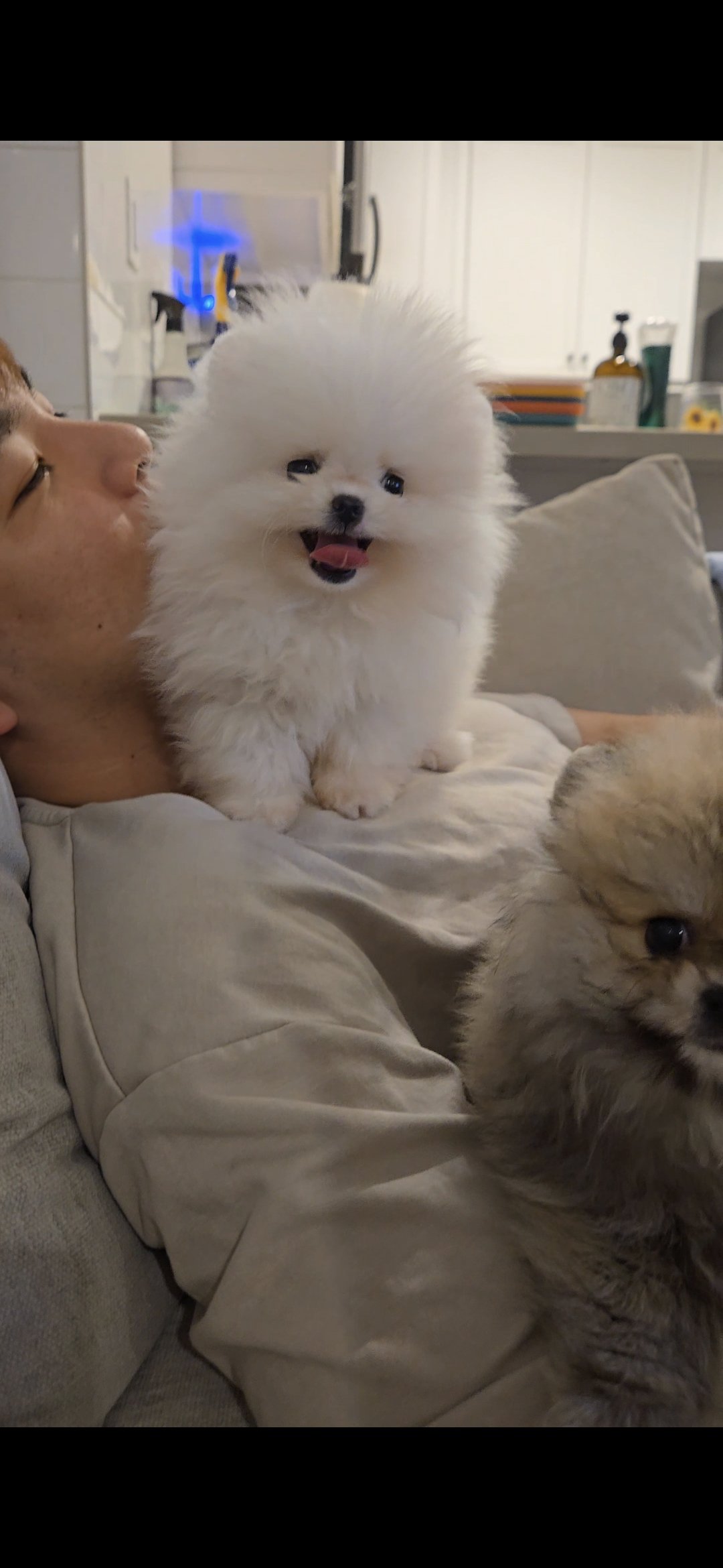 Copy of Screenshot_20260128_013457_Gallery.jpg