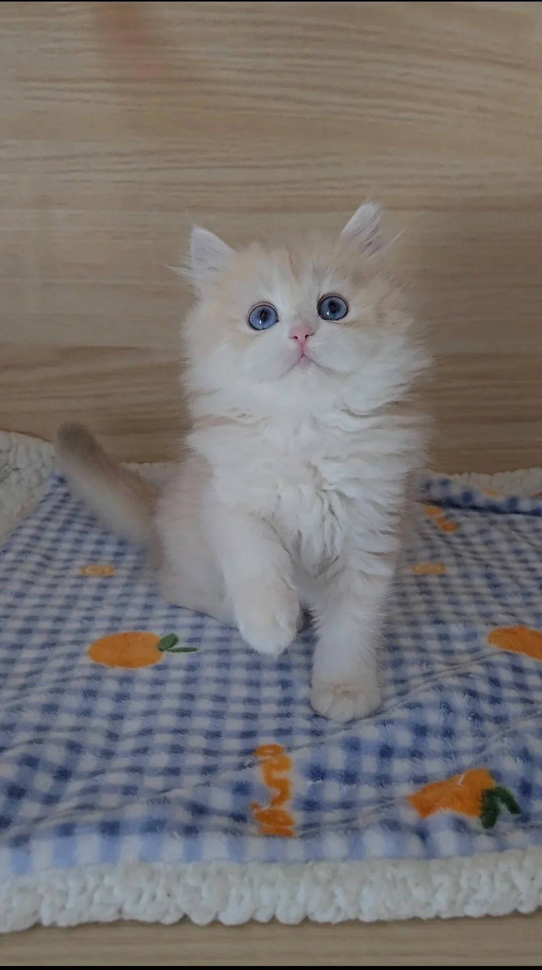 Mina-Reserved