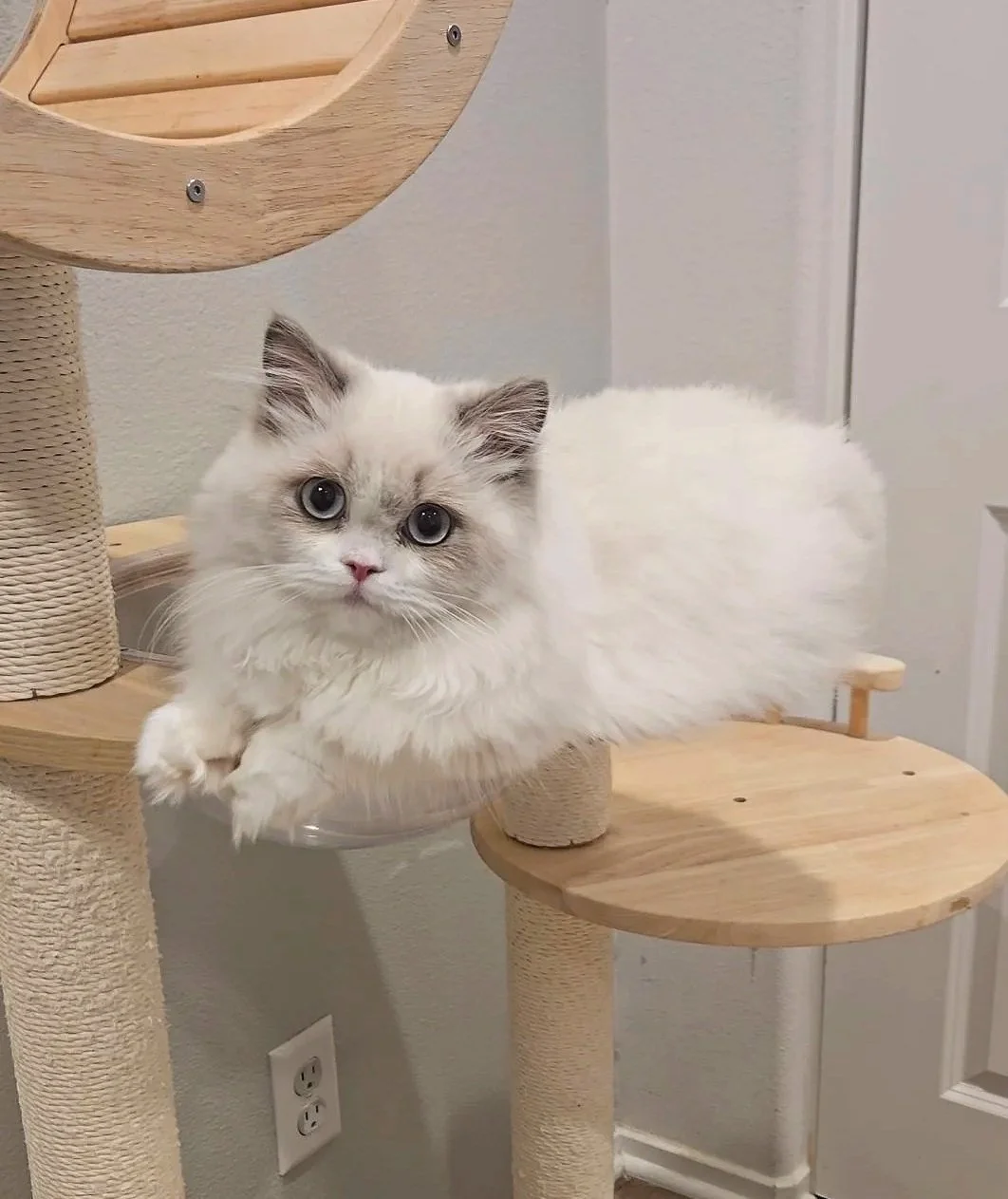 Lena
