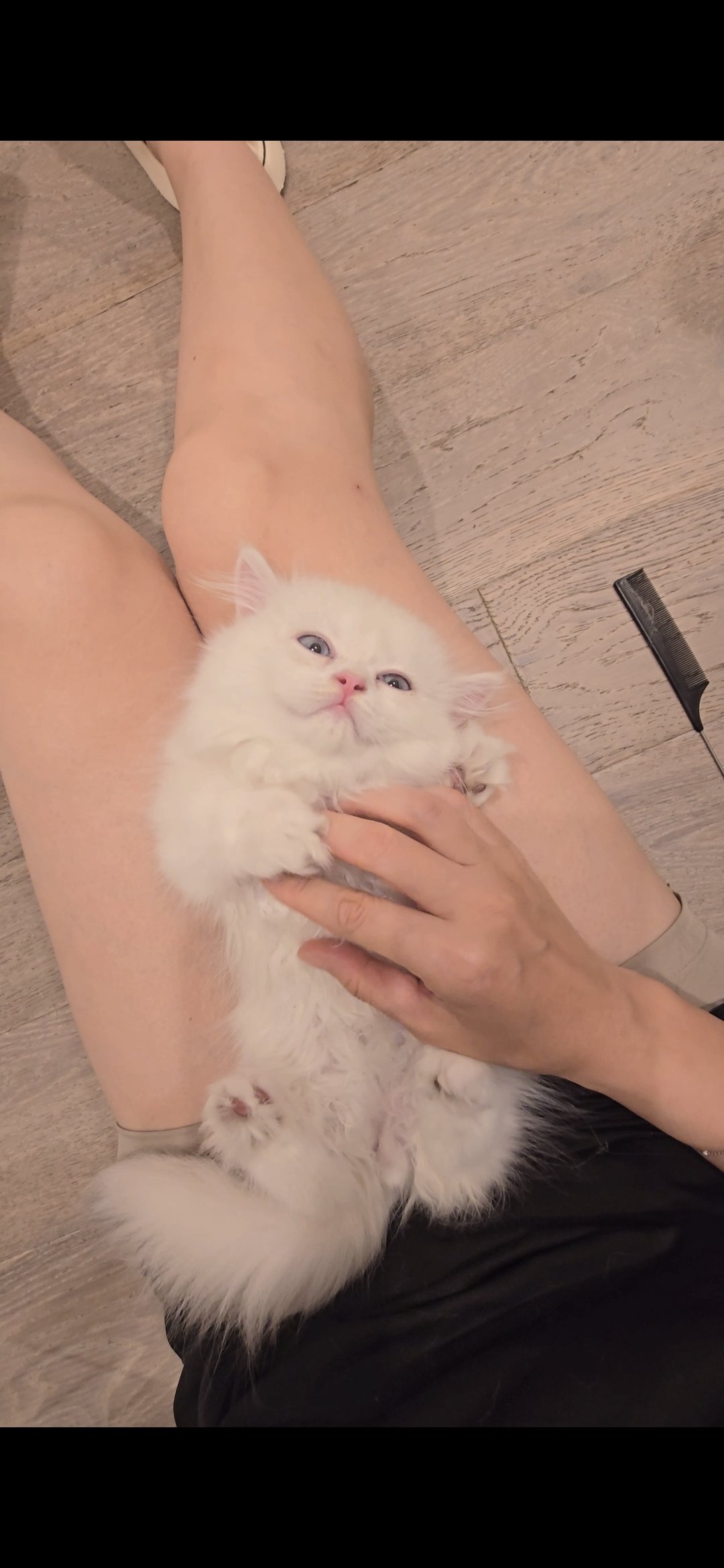 Screenshot_20260821_183034_Gallery.jpg