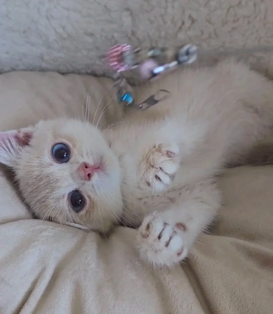 Kiki