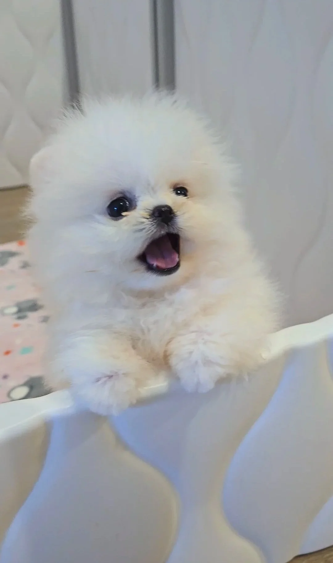 Lulu