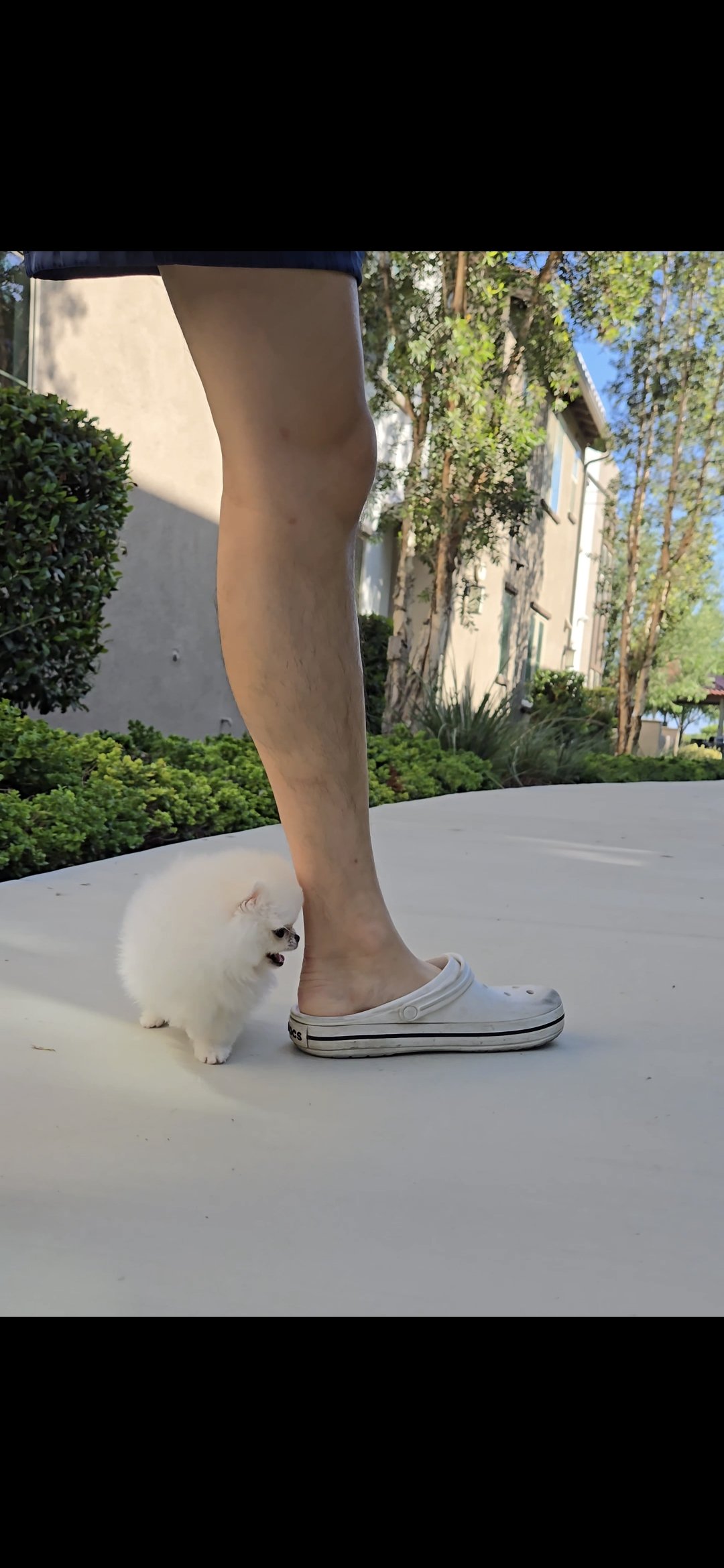 Screenshot_20260913_133454_Gallery.jpg