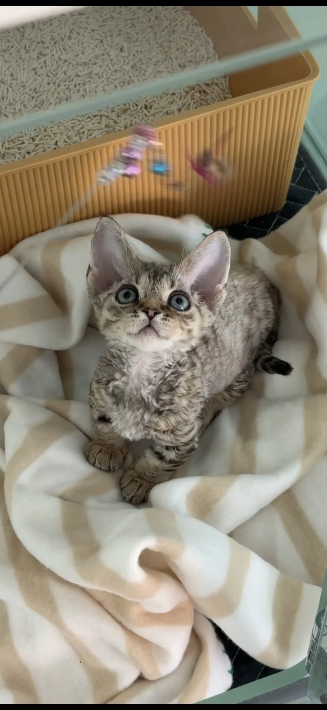 Screenshot_20261014_170644_Gallery.jpg