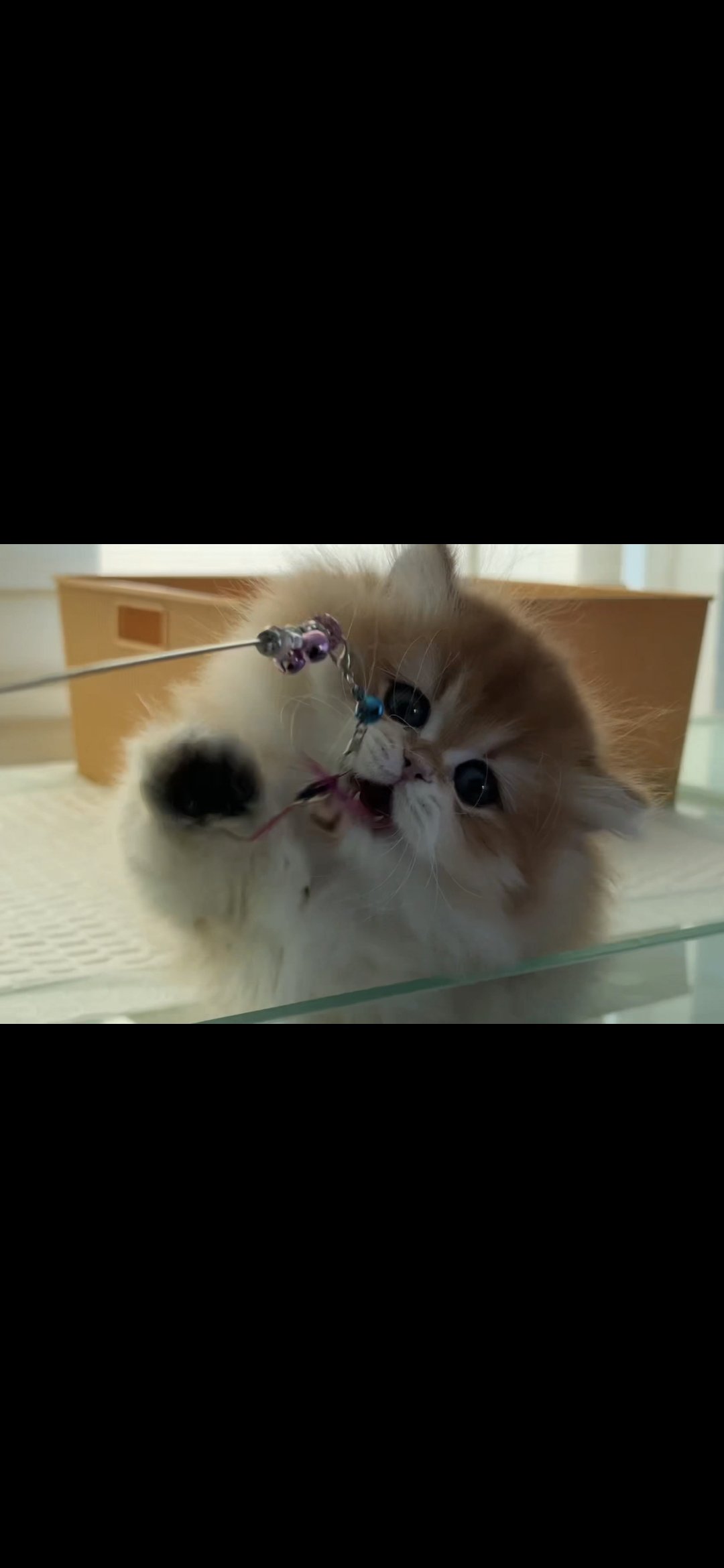 Screenshot_20261014_163940_Gallery(1).jpg