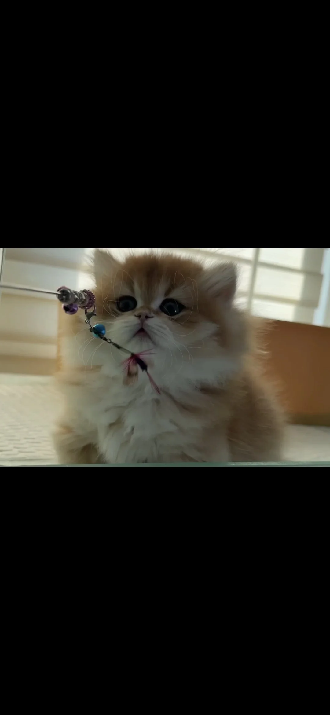Screenshot_20261014_163913_Gallery(1).jpg