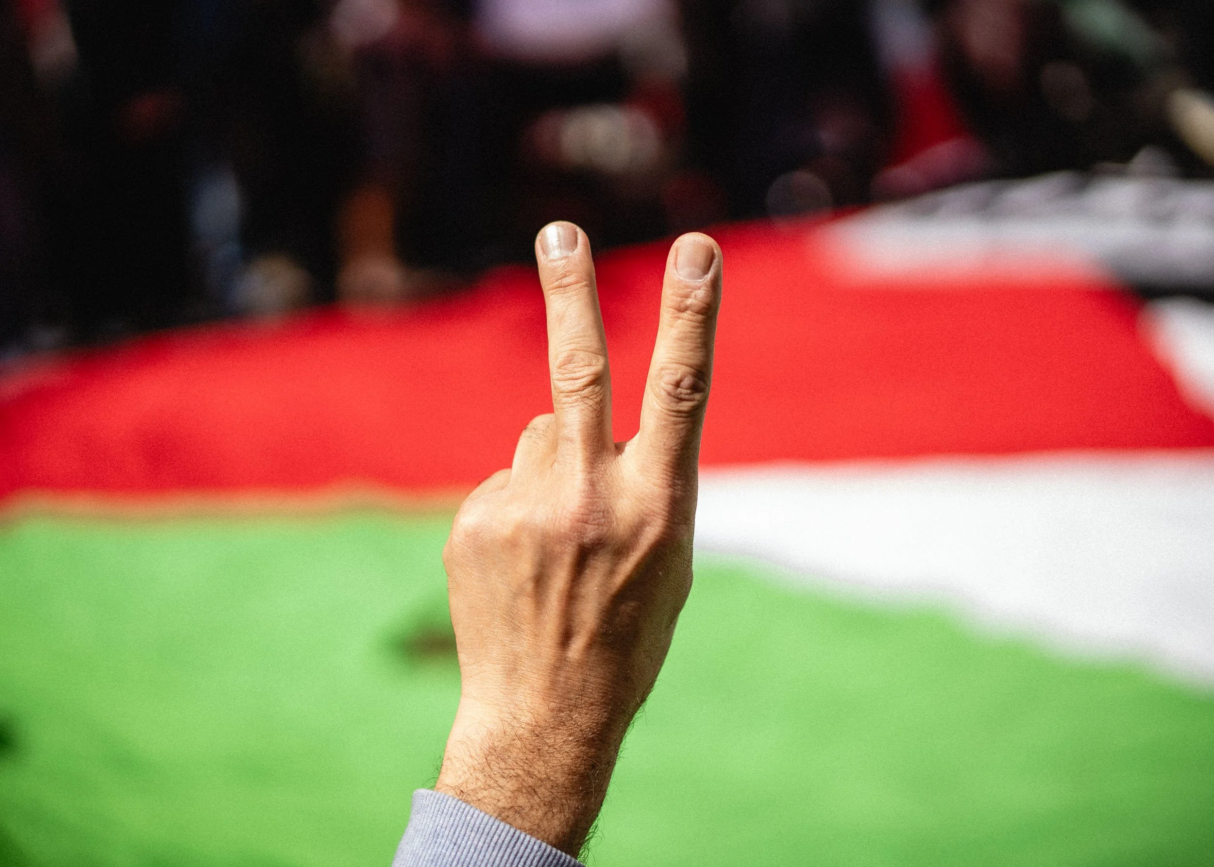 FREE PALESTINE_24 AUGUST_WEBRES-5.jpg