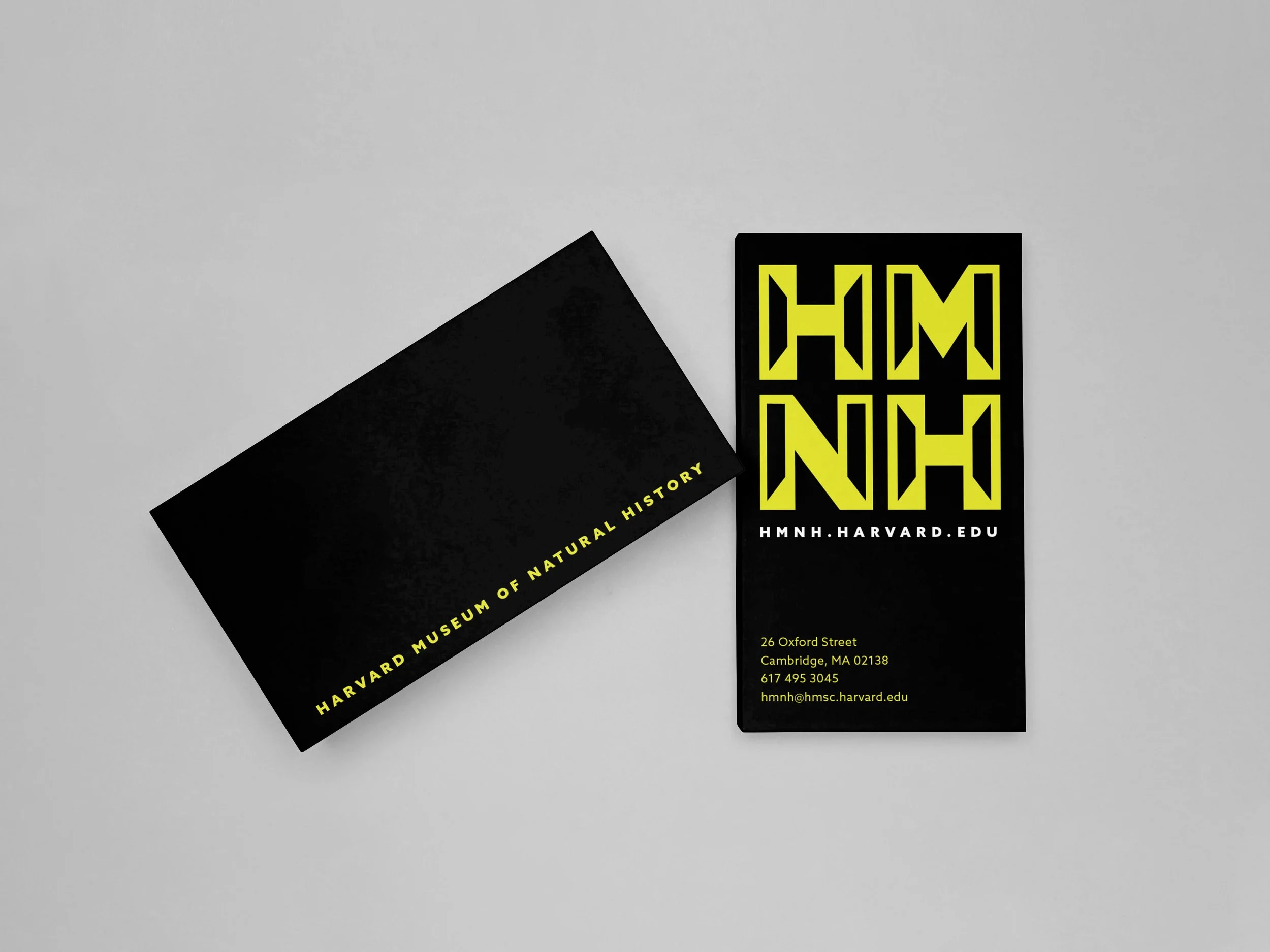 Two black business cards with yellow text. The card on the left includes the museum logo and the right one displays the museum's website, address, phone number, and email.
