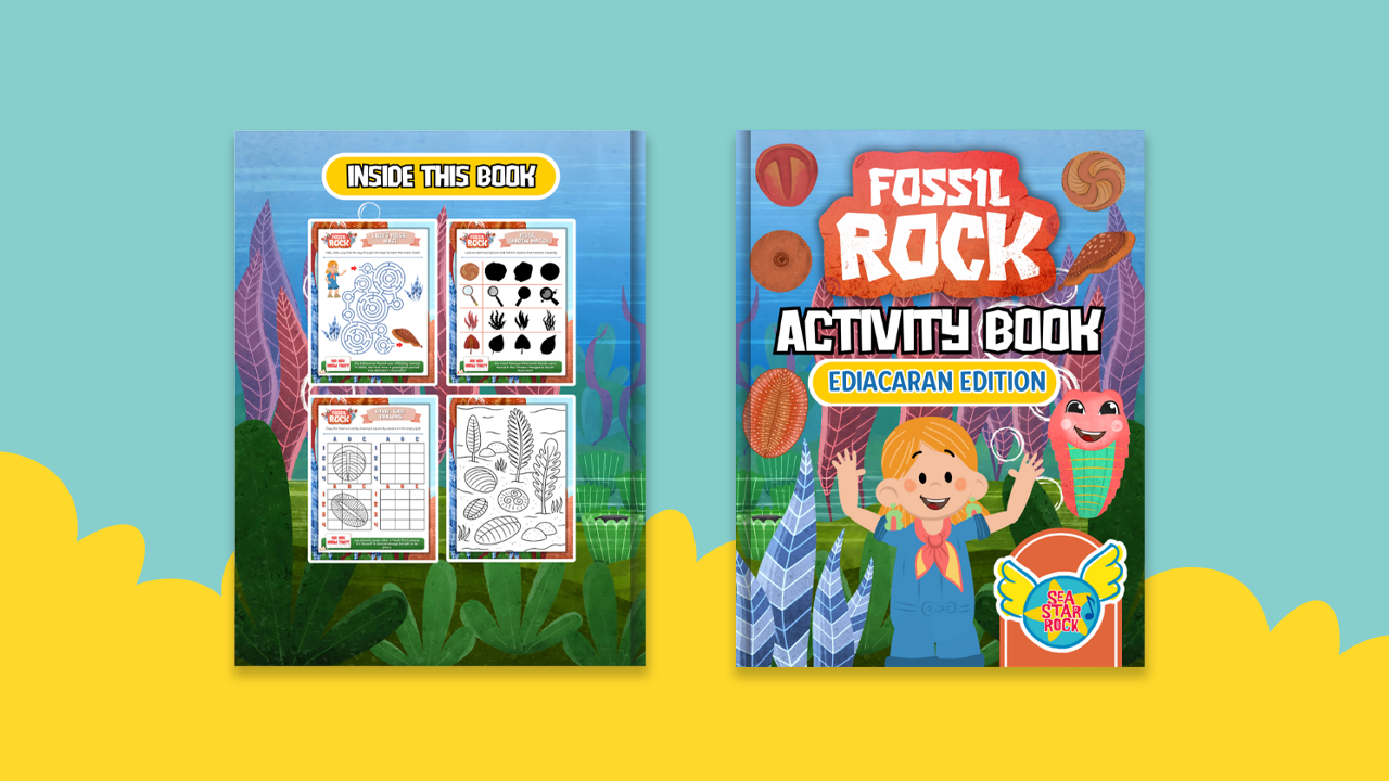Fossil Rock Activity Book