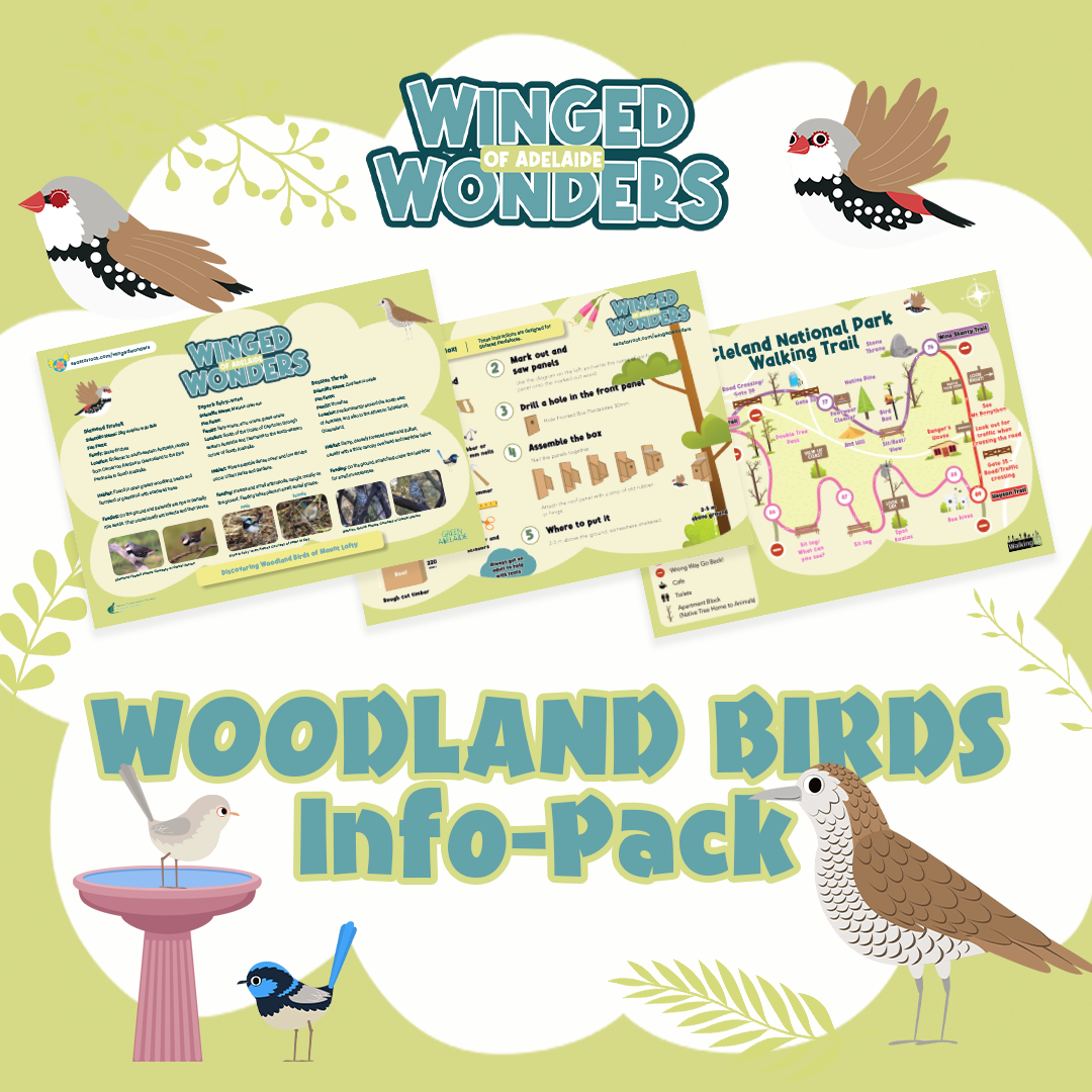 WW_Store_Bird Pack.png