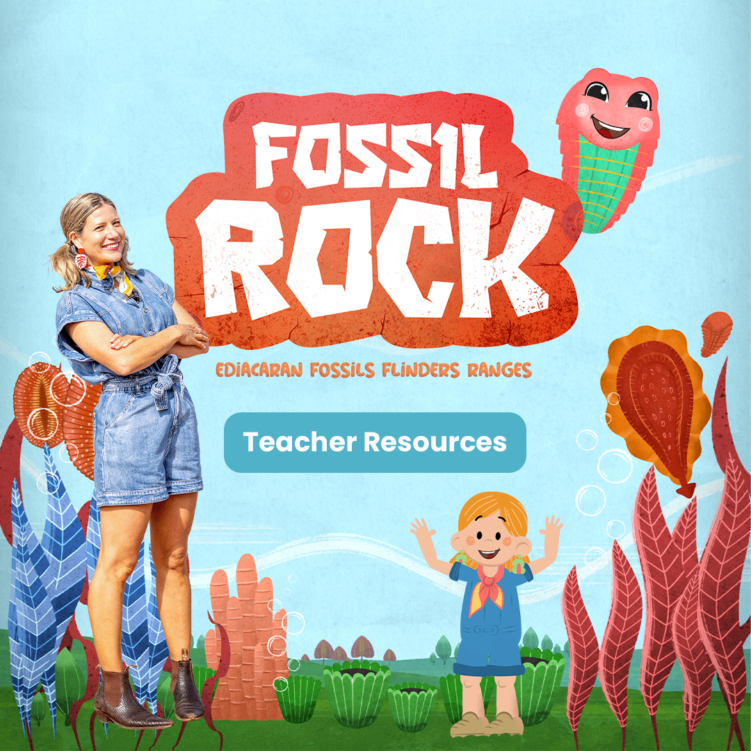 FR_ShopClassroom Pack_WEB.png