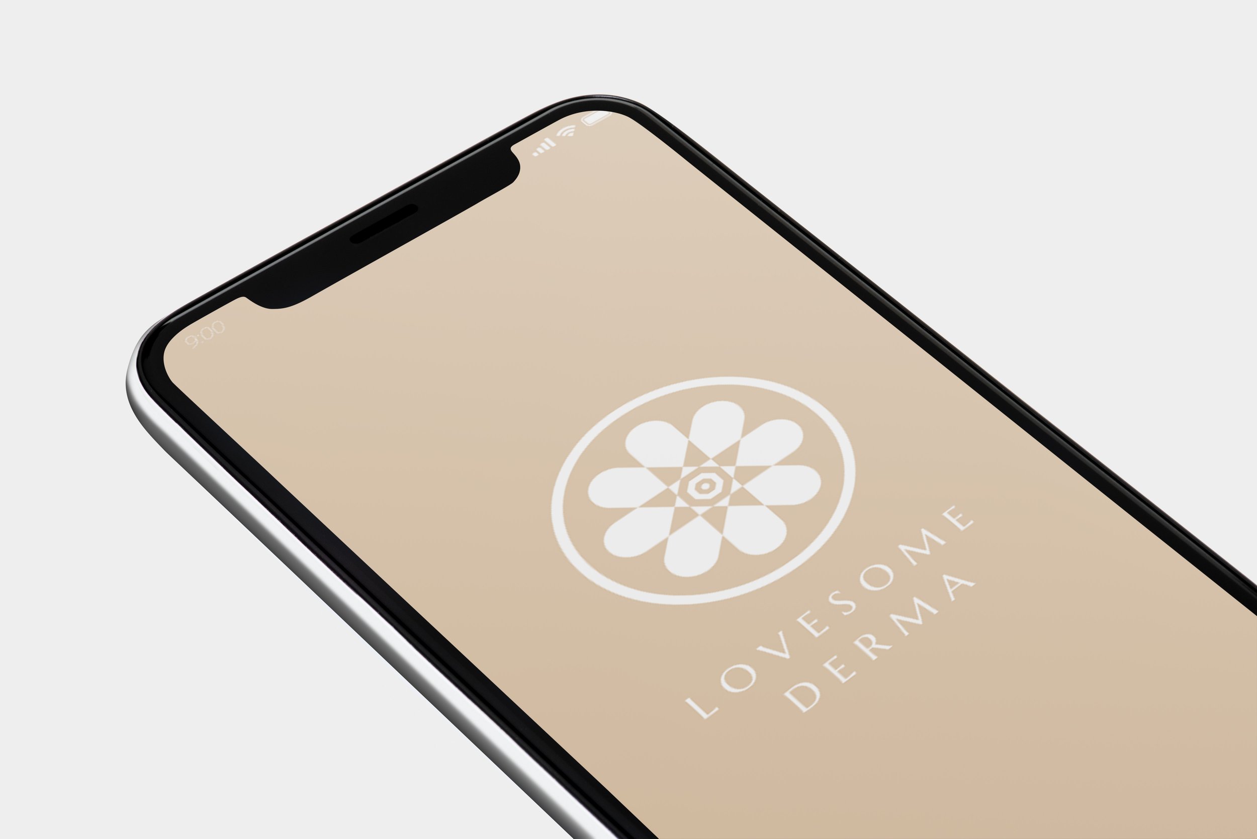 LD_mockup_1.1 copy.jpg