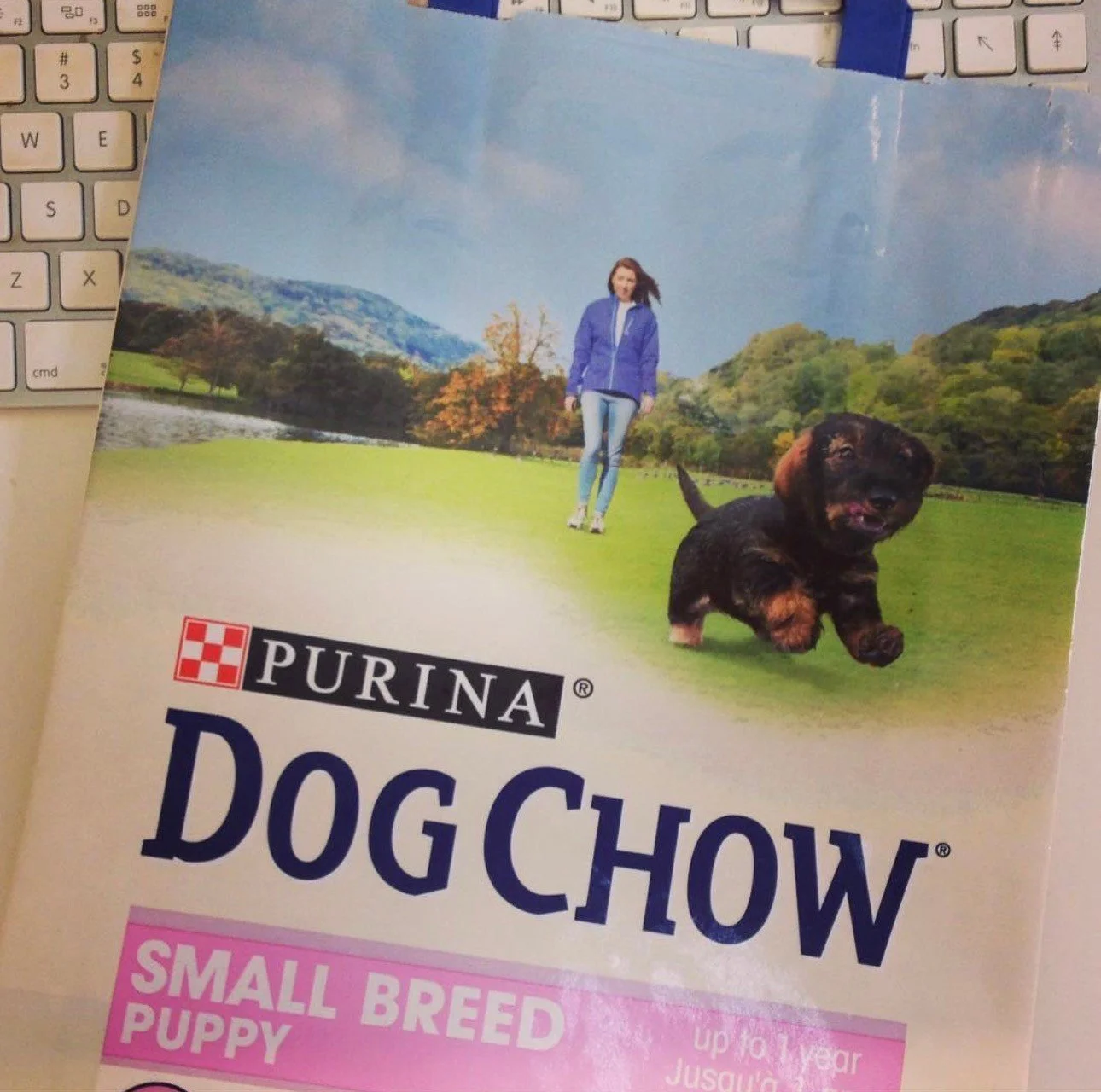 Back in the day, I somehow ended up on the packaging for @Purina Dog Chow 🐾

When I was working in-house at a packaging design agency, the team needed a last-minute solution- so I stepped up as the on-pack model (anyone who knows me knows I have a s