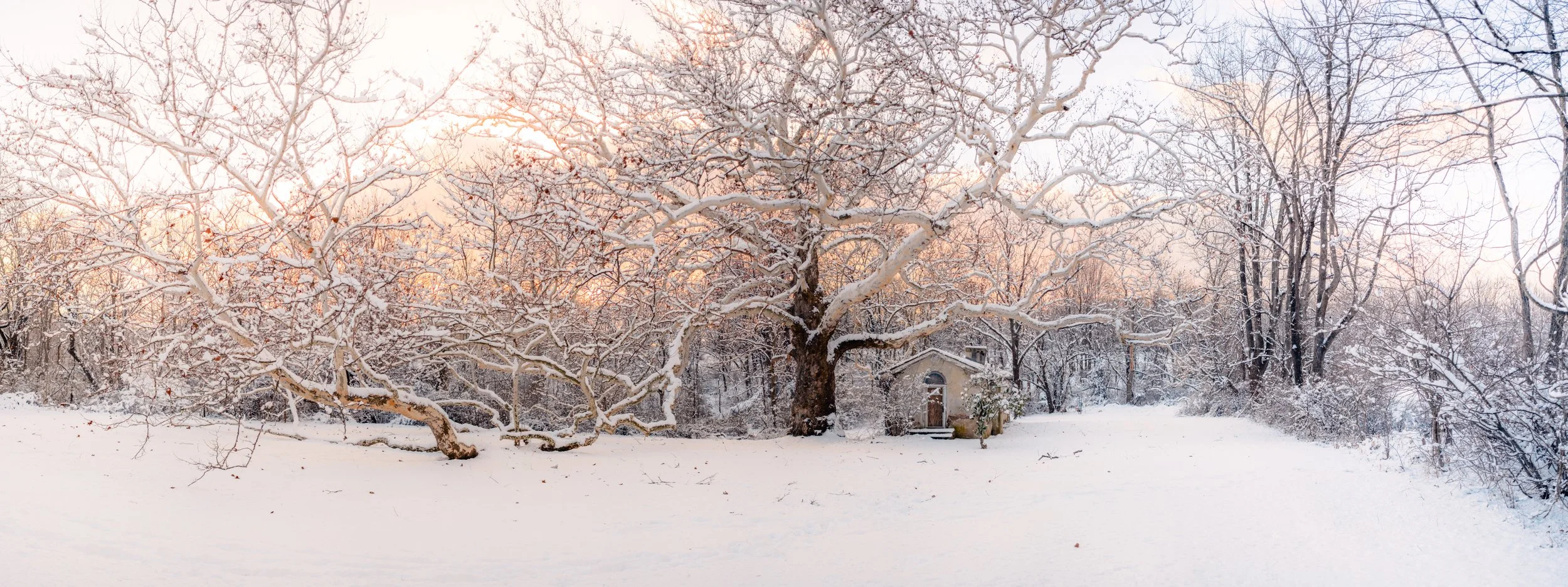 Snow-covered yard with large leafless trees and a small house in the background, during sunset.  Pawlings Tree - Valley Forge Pennsylvania.