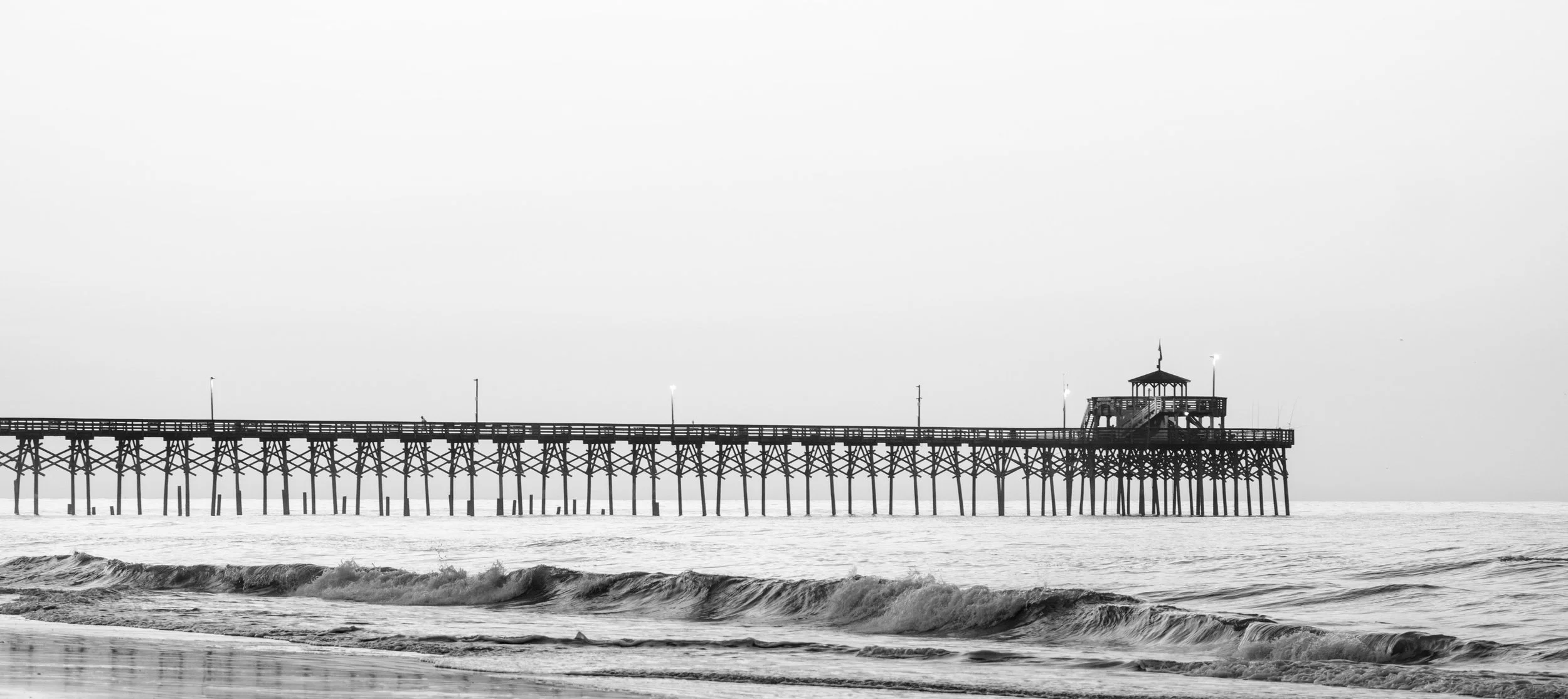 DSCF9516.jpg