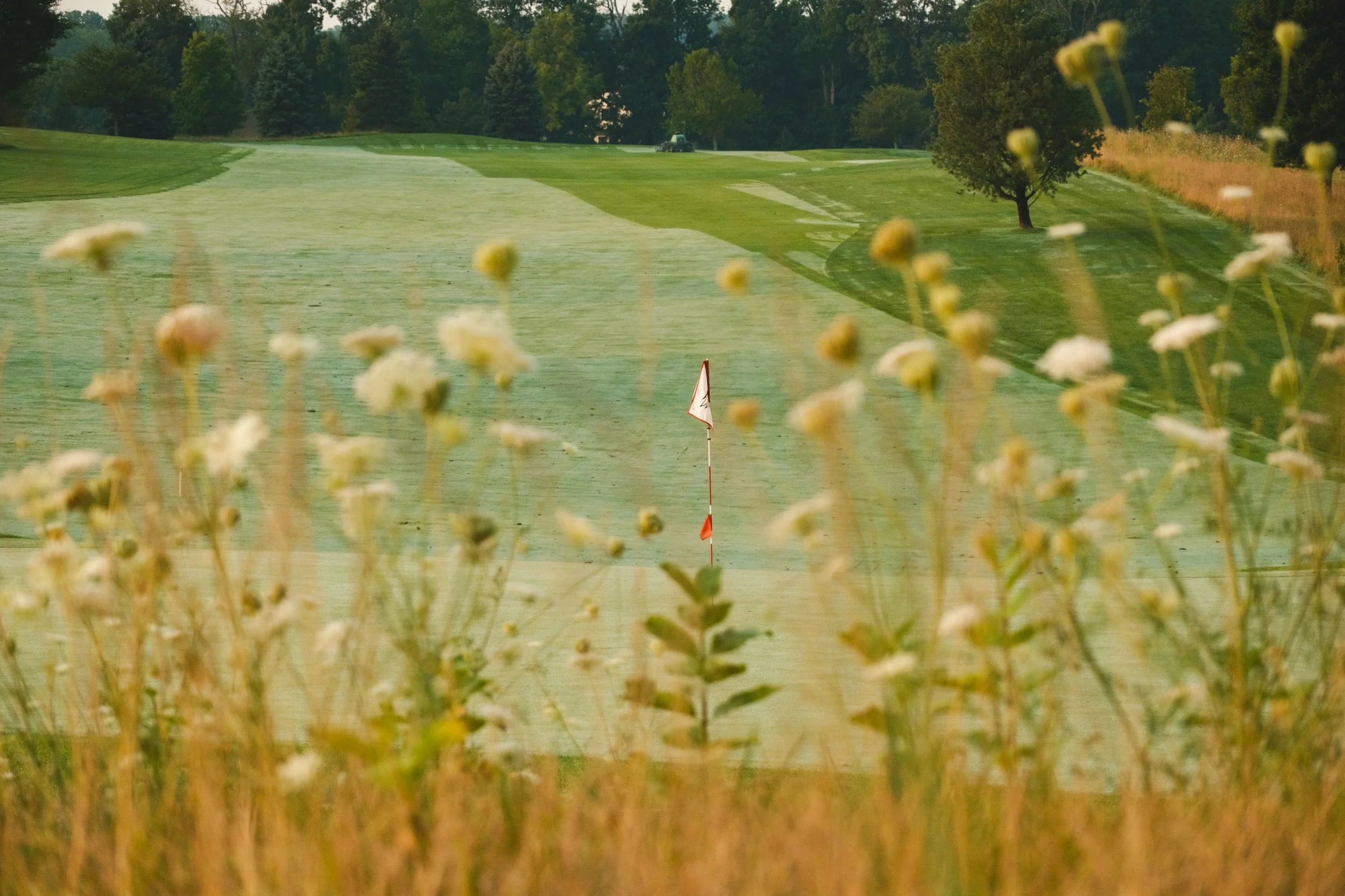 A golf course with a putting green, a flag, and a truck in the distance surrounded by trees and tall grass.