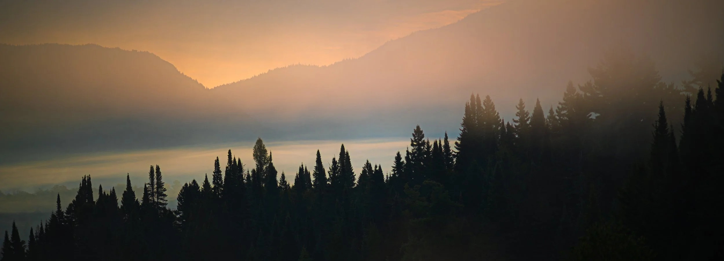 A misty mountain landscape at sunrise or sunset, featuring silhouetted pine trees in the foreground and layered mountain ranges in the background with soft, colorful sky hues.