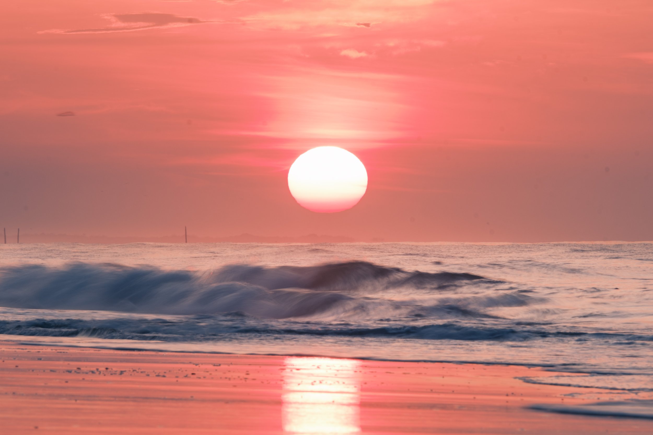 DSCF9565.jpg