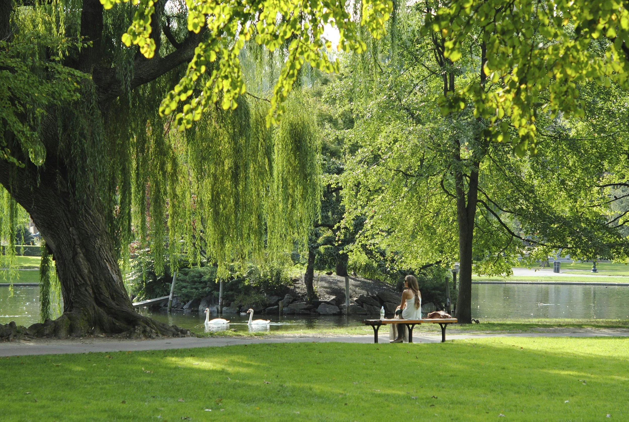 woman taking a break in nature