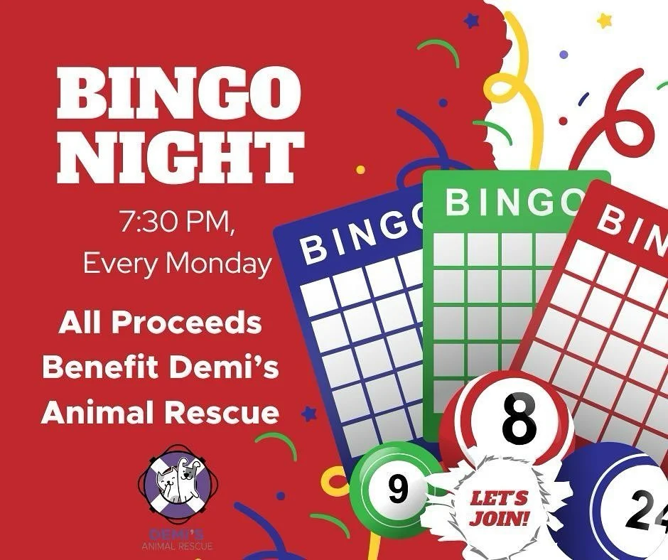 We saved you a seat - come join us TONIGHT! 💜

Join us on MONDAY&rsquo;S at 7:30 at Turn of the Century Bingo for an evening of fun! We have several ways to win money with pickles, daubits, stallions and of course, Bingo! @turn_century_bingo 

Buy i