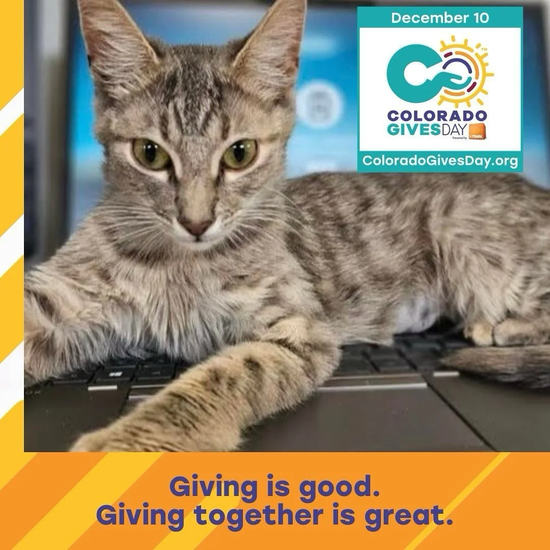Colorado Gives Day is the largest online giving day in Colorado &amp; one the most successful events of its kind in the nation. Help us reach our goal of $15,000 - please consider a donation of $5 or more! Colorado Gives Day takes place on December 1