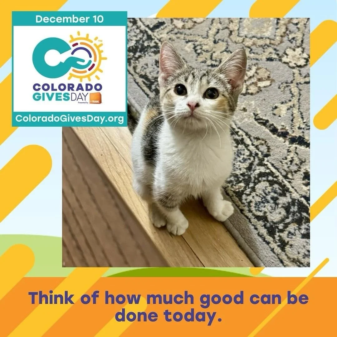 Colorado Gives Day is the largest online giving day in Colorado &amp; one the most successful events of its kind in the nation. Help us reach our goal of $15,000 - please consider a donation of $5 or more! Colorado Gives Day takes place on December 1