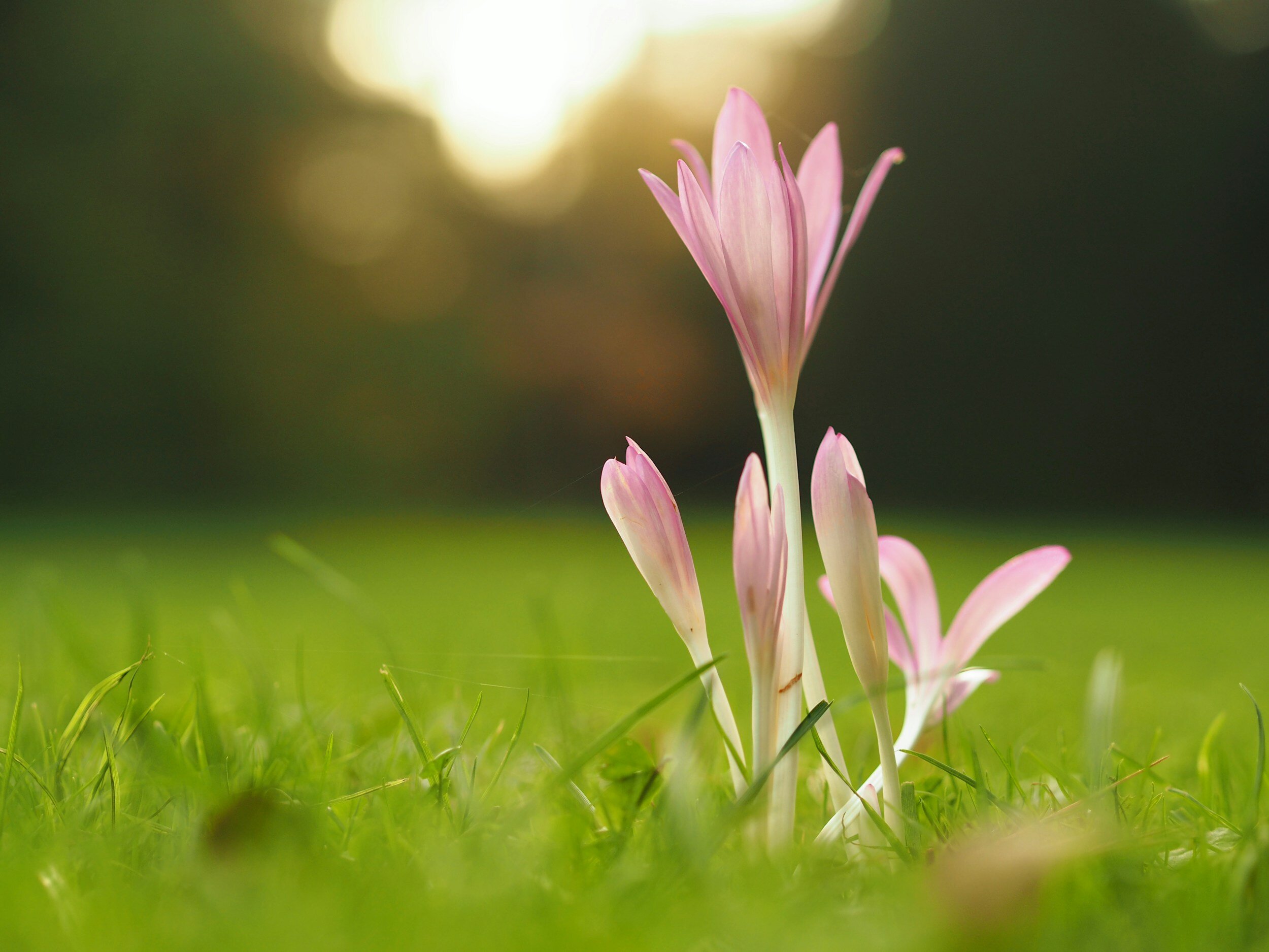 Syncing with the Seasons