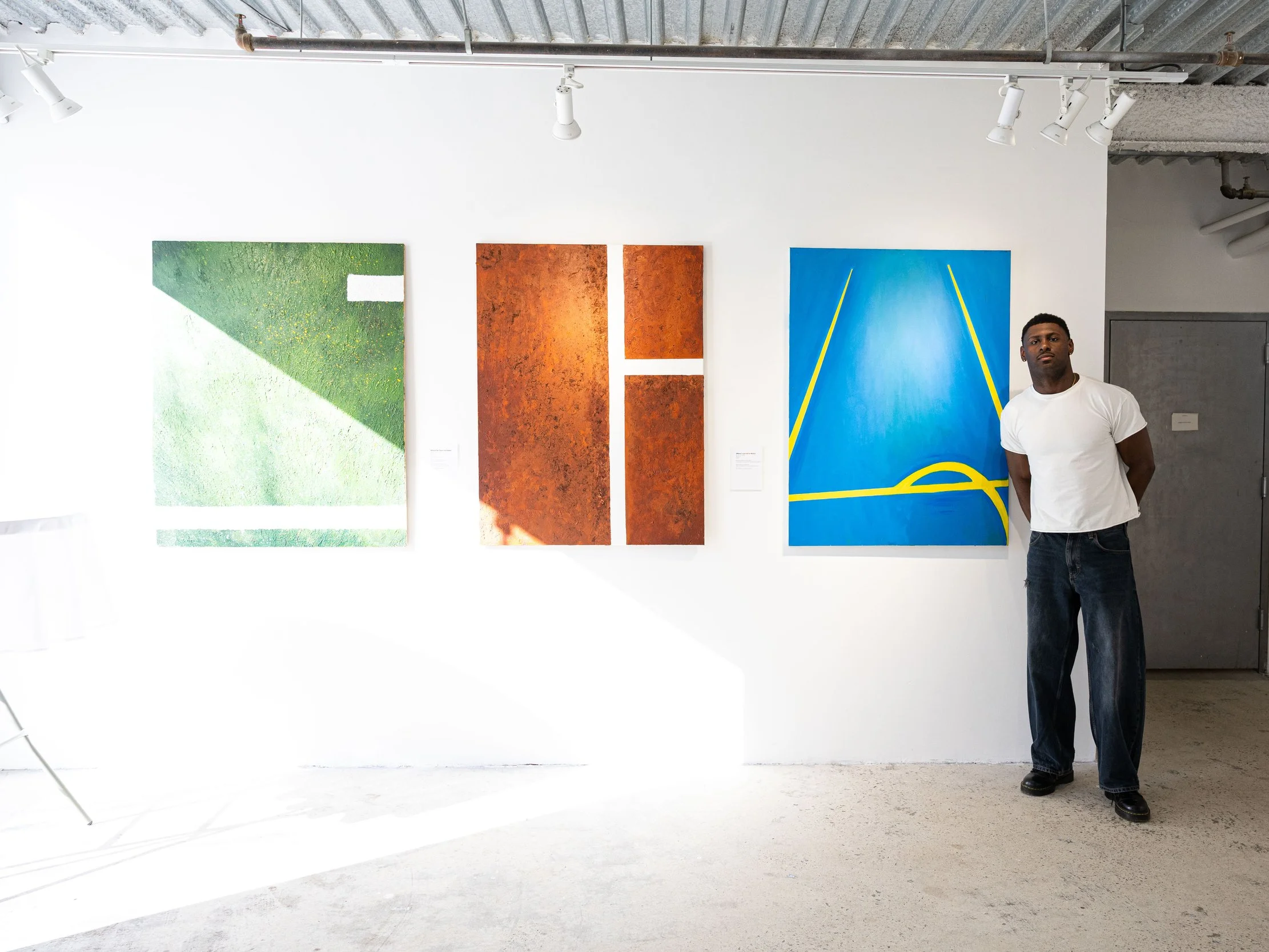 WILL - Ames Solo Exhibition Kaliner Gallery, NYC 
