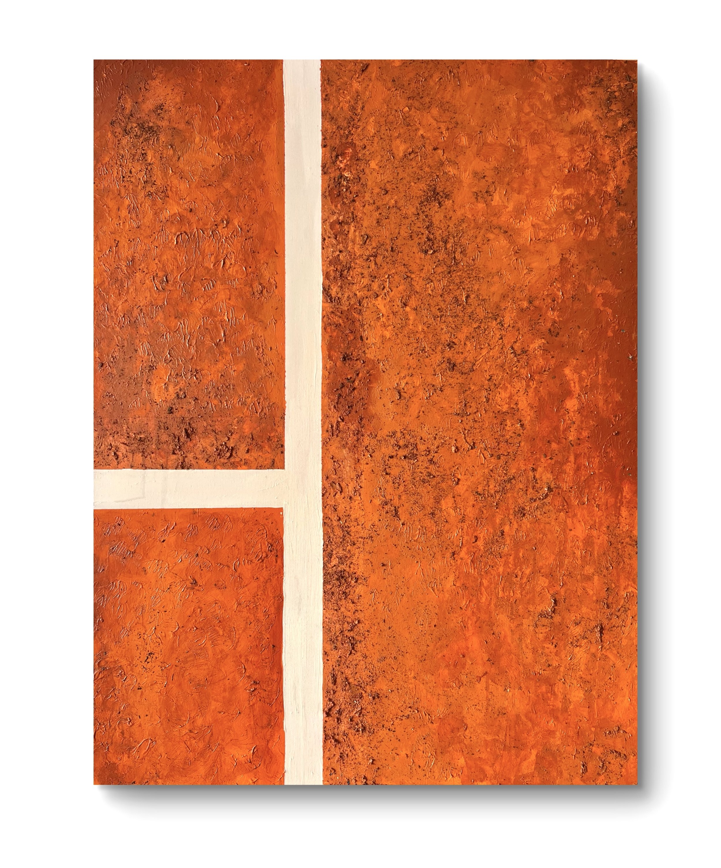 Where I Learned to Watch