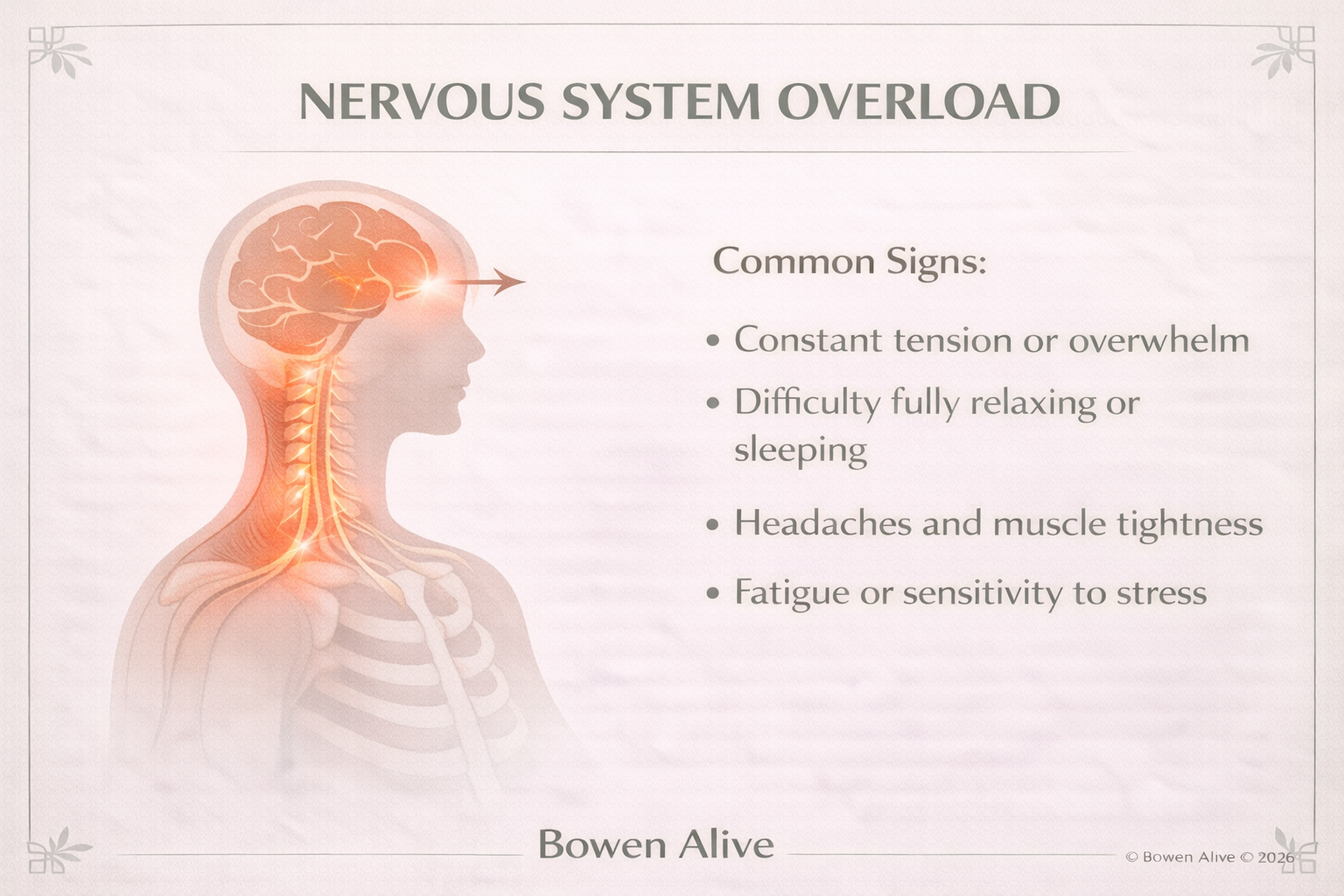 Nervous System Support Ipswich