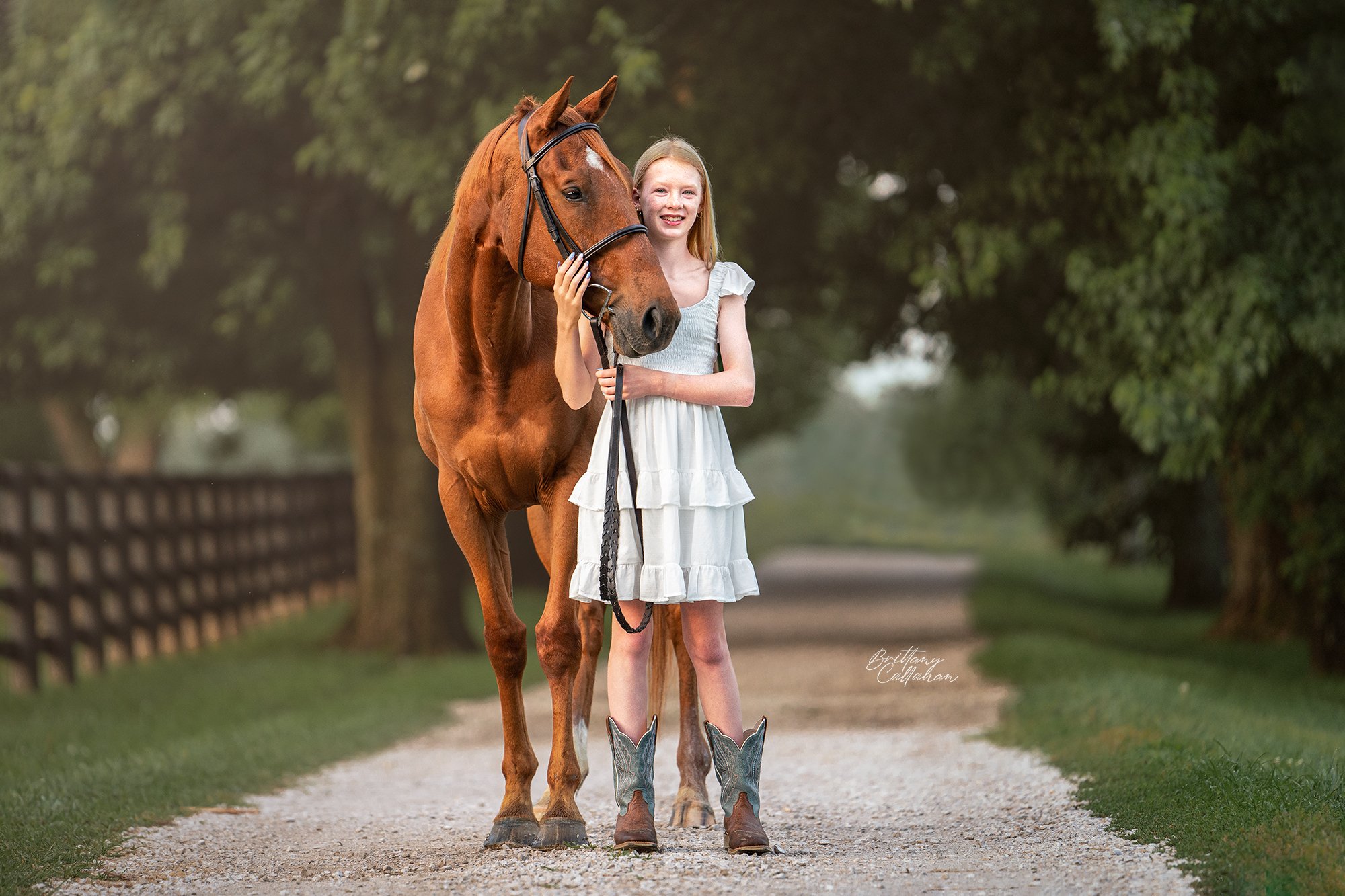 Thoroughbred-gelding-horse-and-rider-lexington-kentucky-outdoor-portrait.jpg