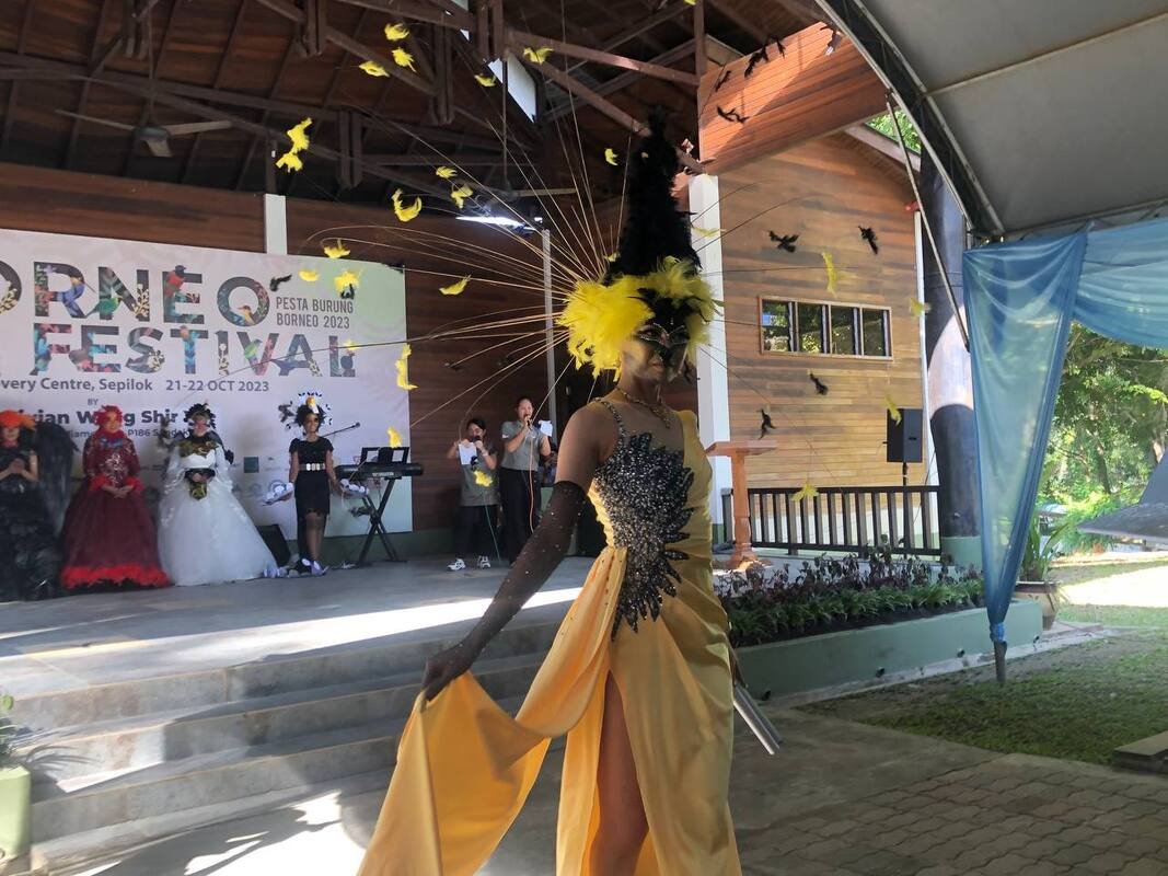 2023-10-22-borneo-bird-festval-day-2-3_orig.jpeg