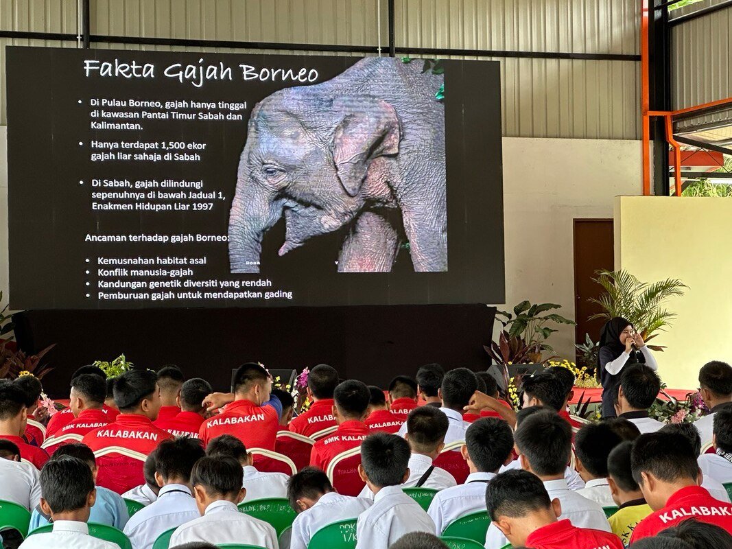 20230914-hari-gajah-kalabakan-2023-3_orig.jpeg