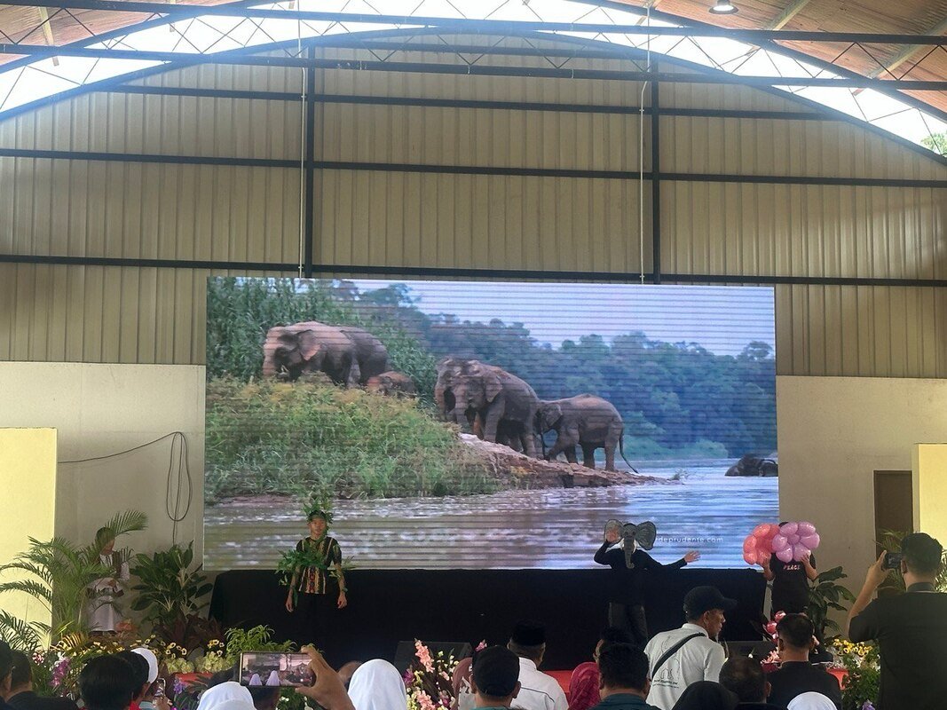 20230914-hari-gajah-kalabakan-2023-11_orig.jpeg