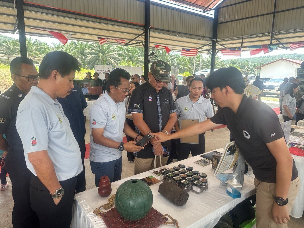20230914-hari-gajah-kalabakan-2023-15_orig.jpeg