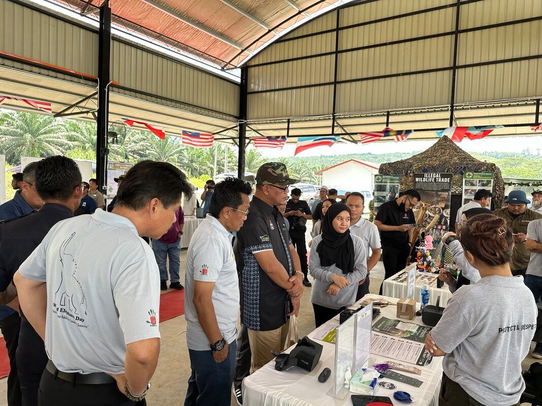 20230914-hari-gajah-kalabakan-2023-17_orig.jpeg