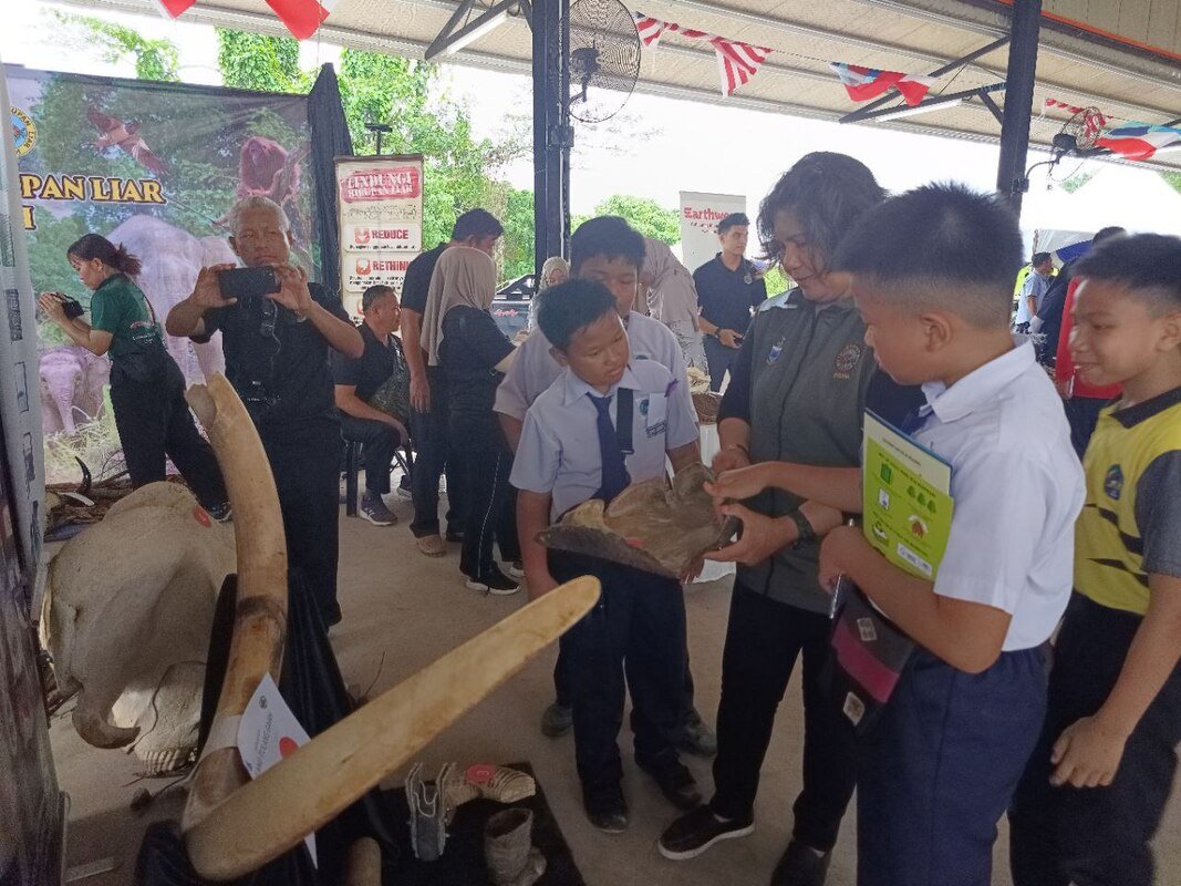 20230914-hari-gajah-kalabakan-2023-18_orig.jpeg