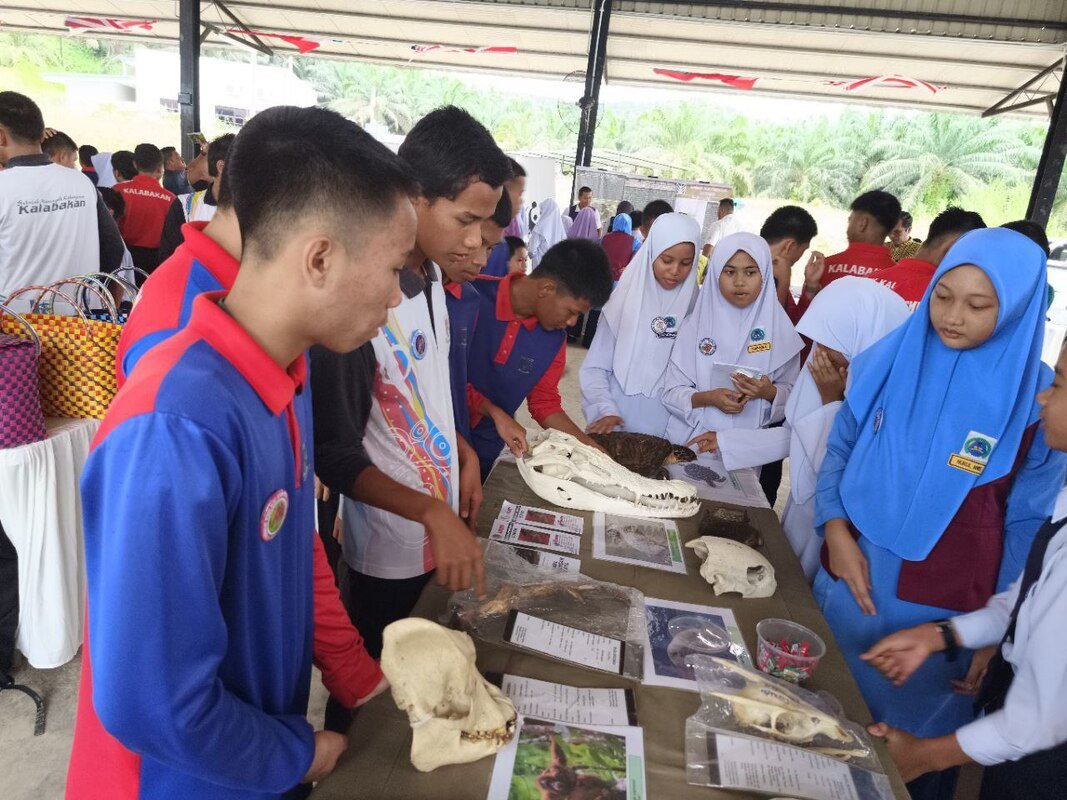 20230914-hari-gajah-kalabakan-2023-20_orig.jpeg