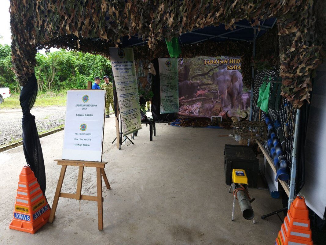 20230914-hari-gajah-kalabakan-2023-21_orig.jpeg
