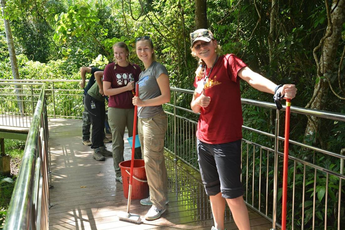7-work-start-with-maintaining-visitor-walkway-4_orig.jpg
