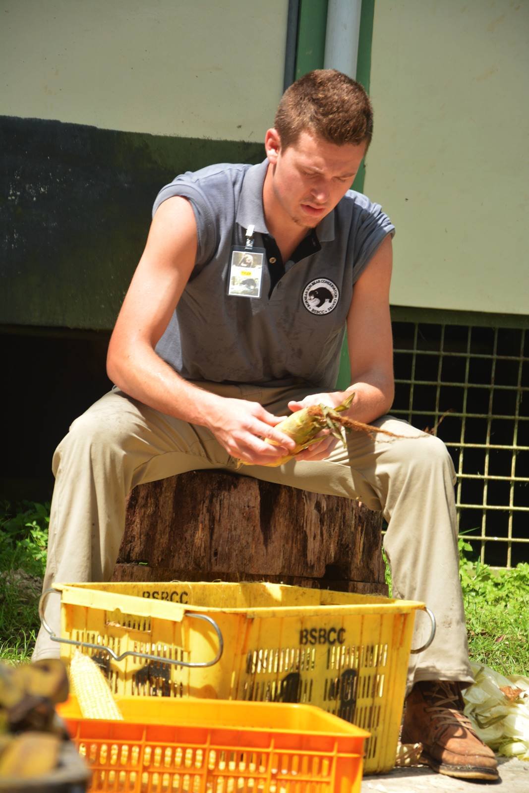 The hot weather making these guys have been sweating it out. But the good things are they want to make sure the bears will have a good and happy time!