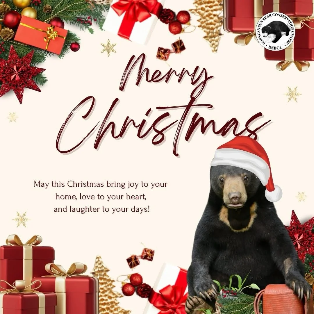 Christmas is a season of kindness for people, animals, and the forests we share. Warm wishes from the sun bears! 🎄🎉🎁