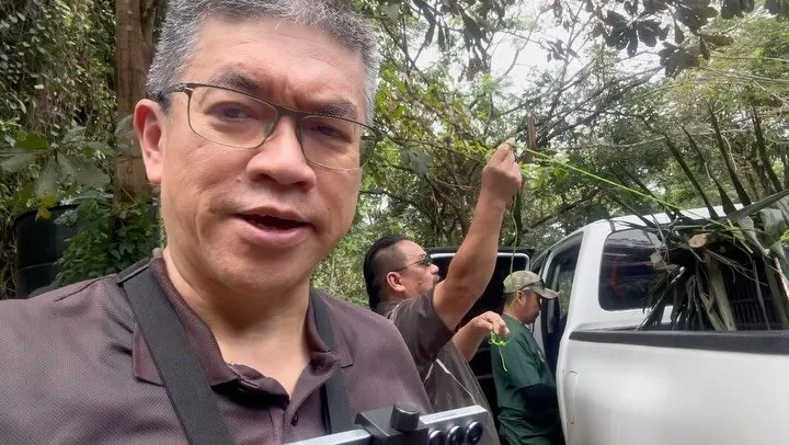 Get @reshare_app &bull; @wongsiewte Two days after Manja, the sun bear cub, arrived at @bsbcc, the Sabah Wildlife Department sent another rescued sun bear, Wira, to the centre this afternoon. Wira is a six-year-old male sun bear who was surrendered t