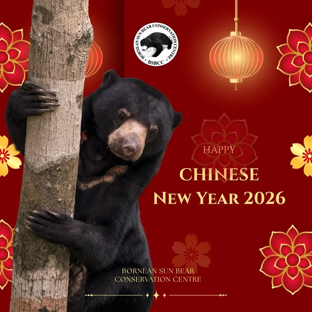 Happy Chinese New Year! 🧧🍊

As we welcome a new year filled with hope and prosperity, may it also be a year of stronger forests, thriving wildlife, and brighter futures for our beloved sun bears. 🐻

Thank you for supporting conservation and being 