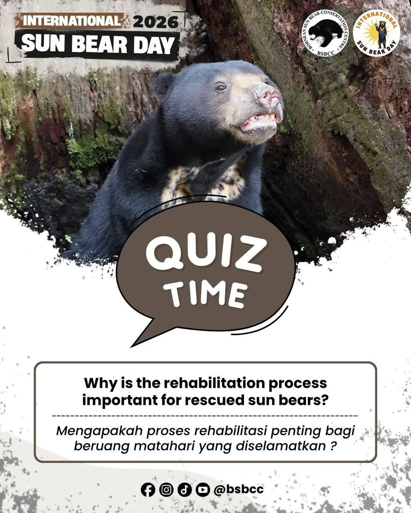 International Sun Bear Day 2026 is coming! (16 May) 
Let&rsquo;s celebrate with something fun: our Sun Bear Quiz Challenge is back! 🐻✨

Are you ready to put your knowledge to the test? 

📲 Answer submitted via Facebook Messenger
⚡ Fastest correct a