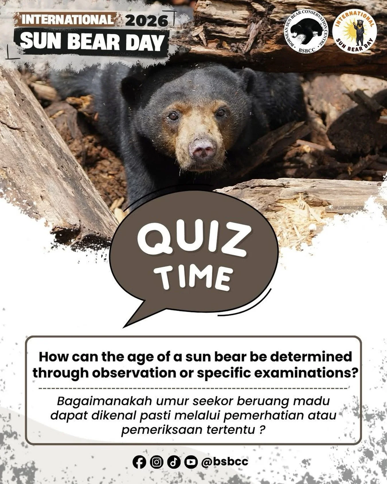 Sun Bear Quiz Challenge Round 2 ✨Are you ready for the 2nd quiz? 

📲 Answer submitted via Facebook Messenger
📝 Submit together with your Contact Number, Email Address, Mailing Address
⚡ Fastest correct answer wins!
🌎 Open to participants worldwide